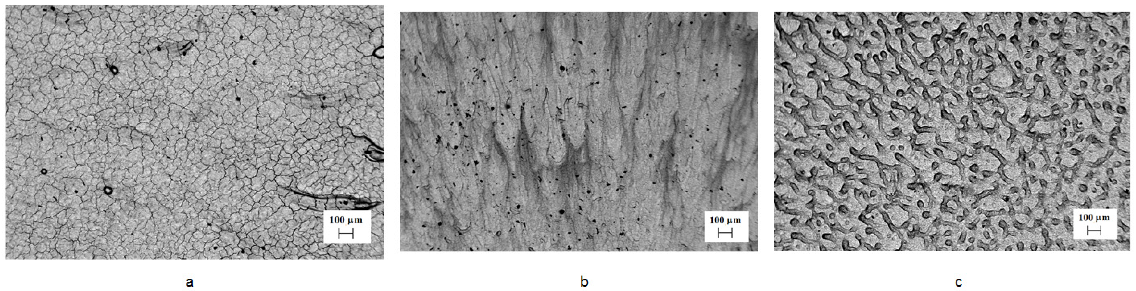 Materials 16 04445 g004