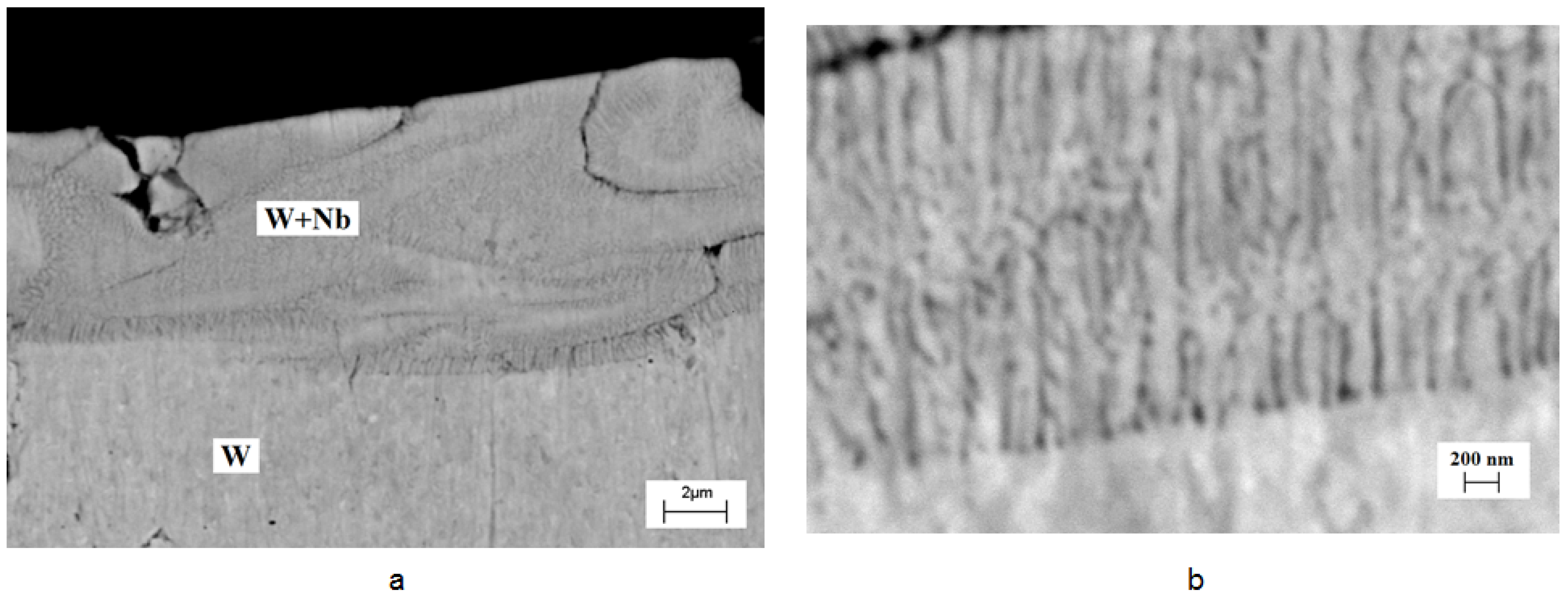 Materials 16 04445 g006