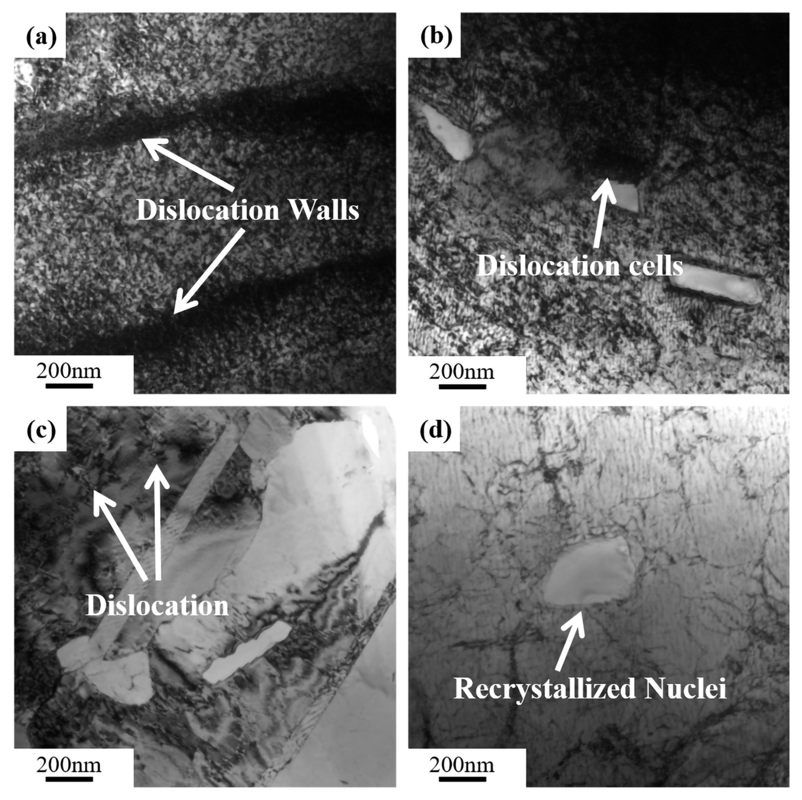 Materials 16 04455 g011