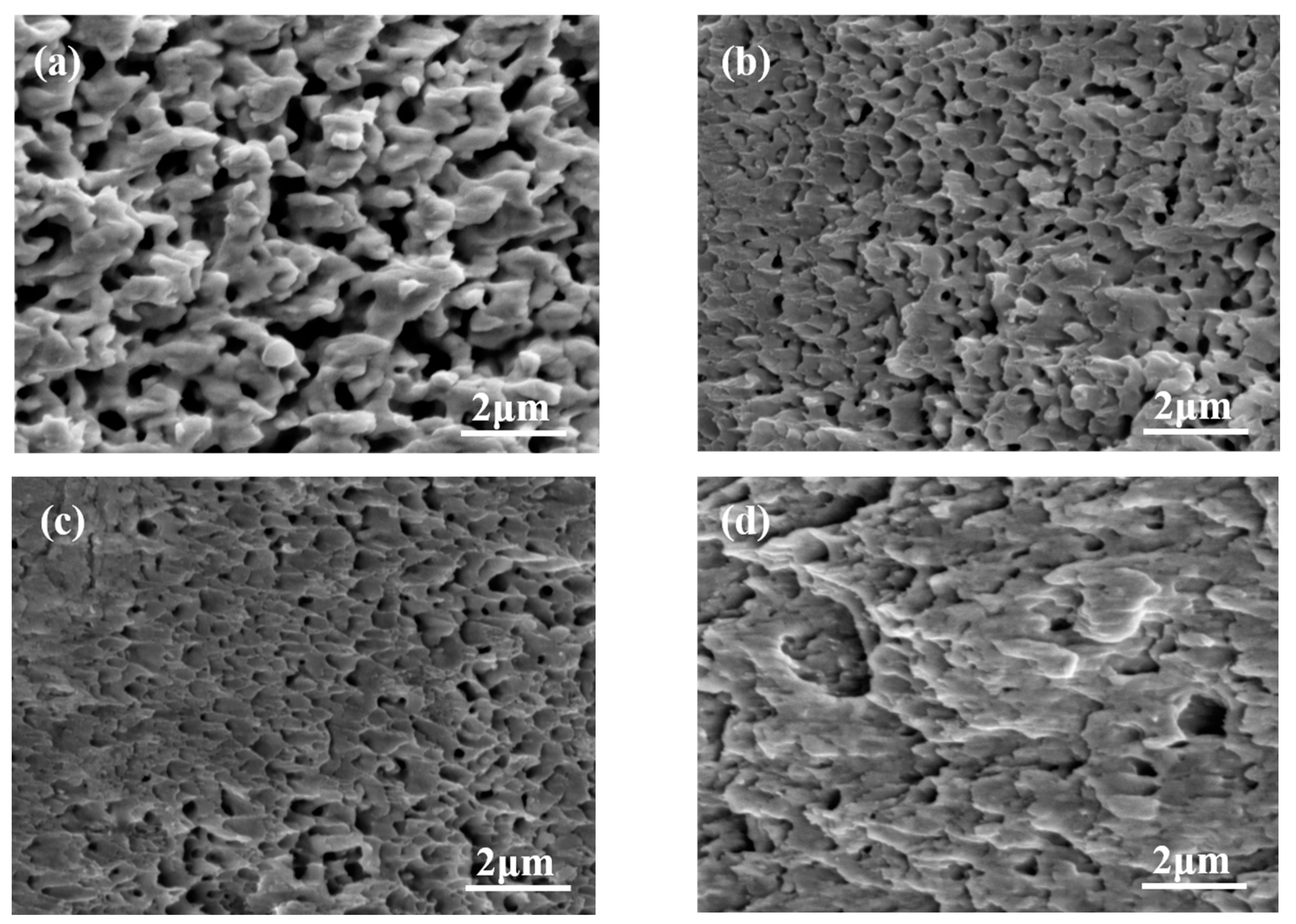 Materials 16 04472 g010