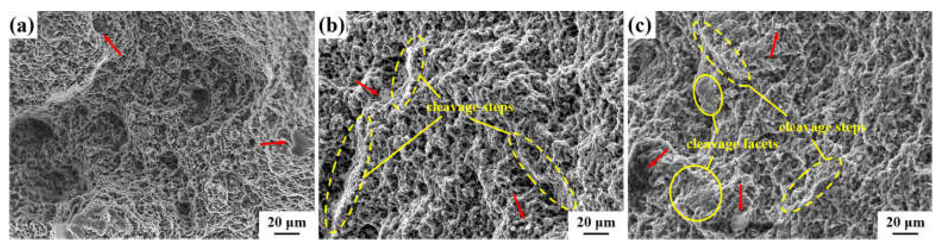 Materials 16 04489 g008