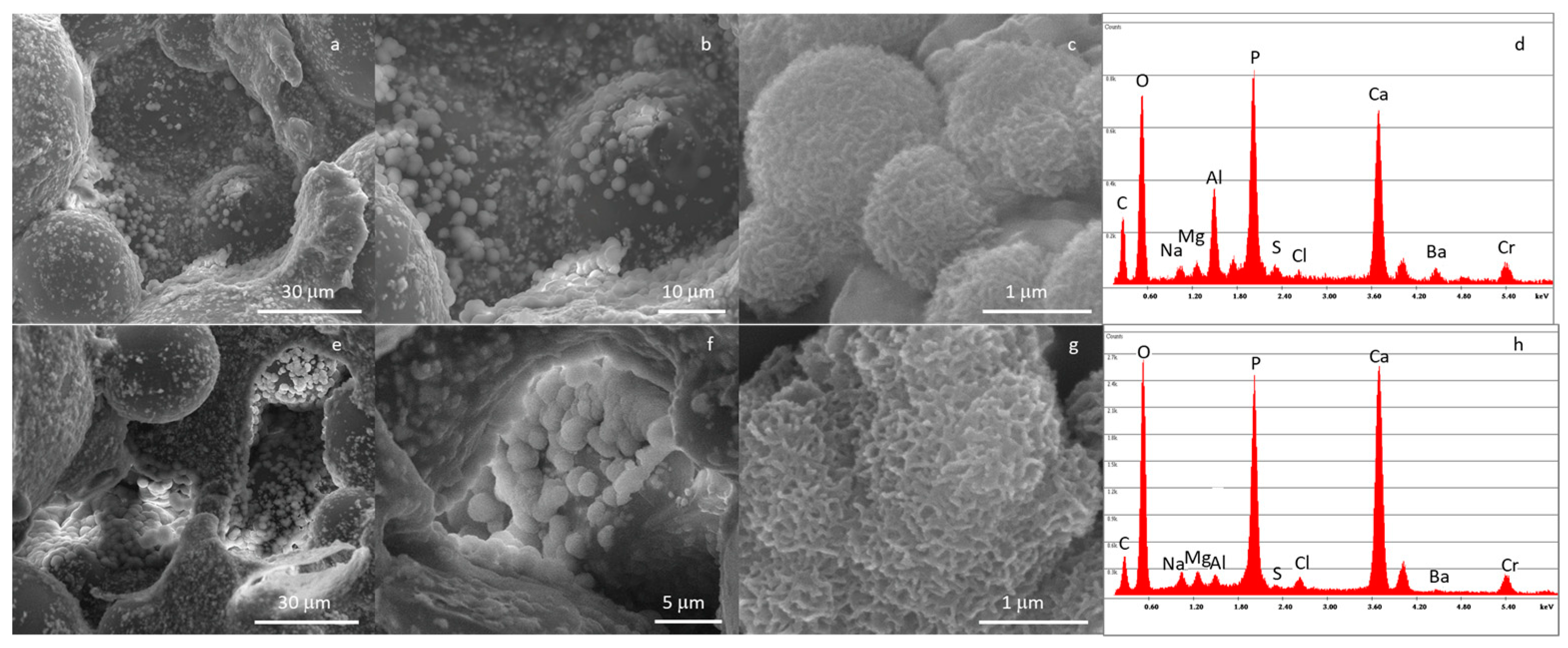 Materials 16 04499 g009 Materials 16 04499 g009