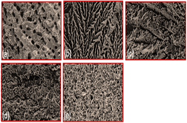 Materials 16 04515 i007