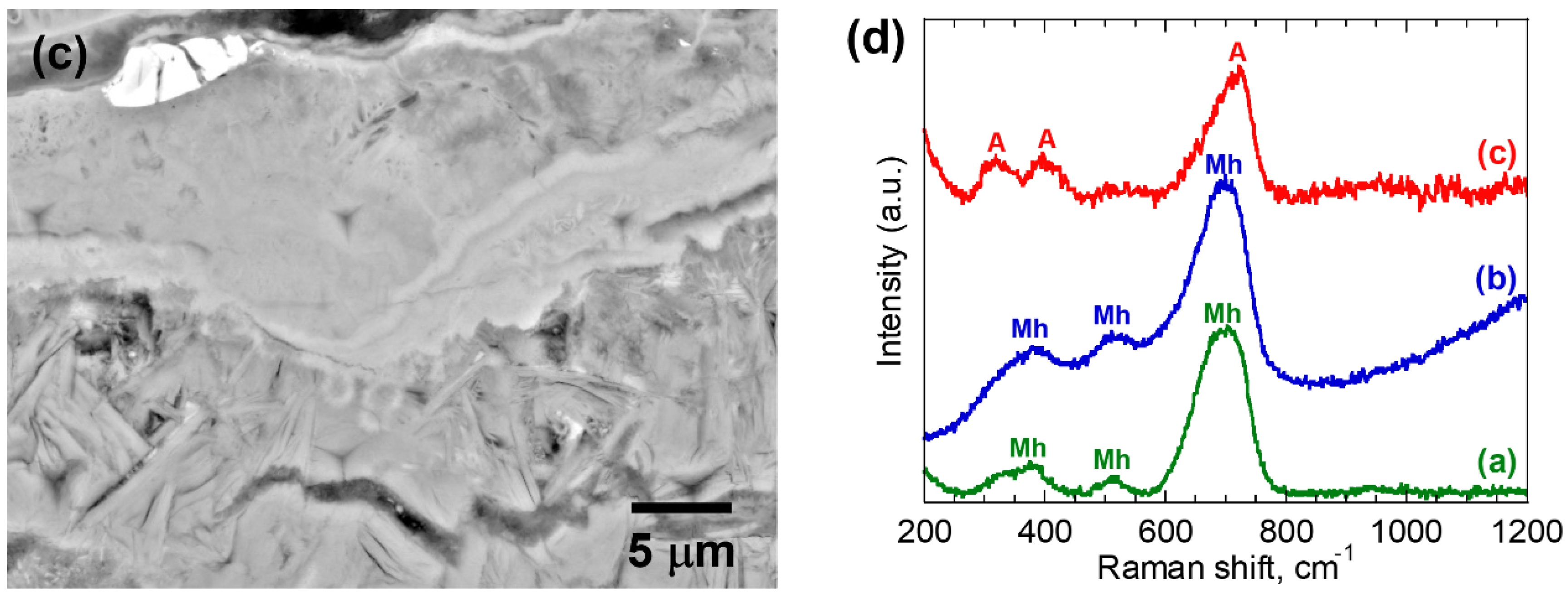 Materials 16 04521 g005b Materials 16 04521 g005b