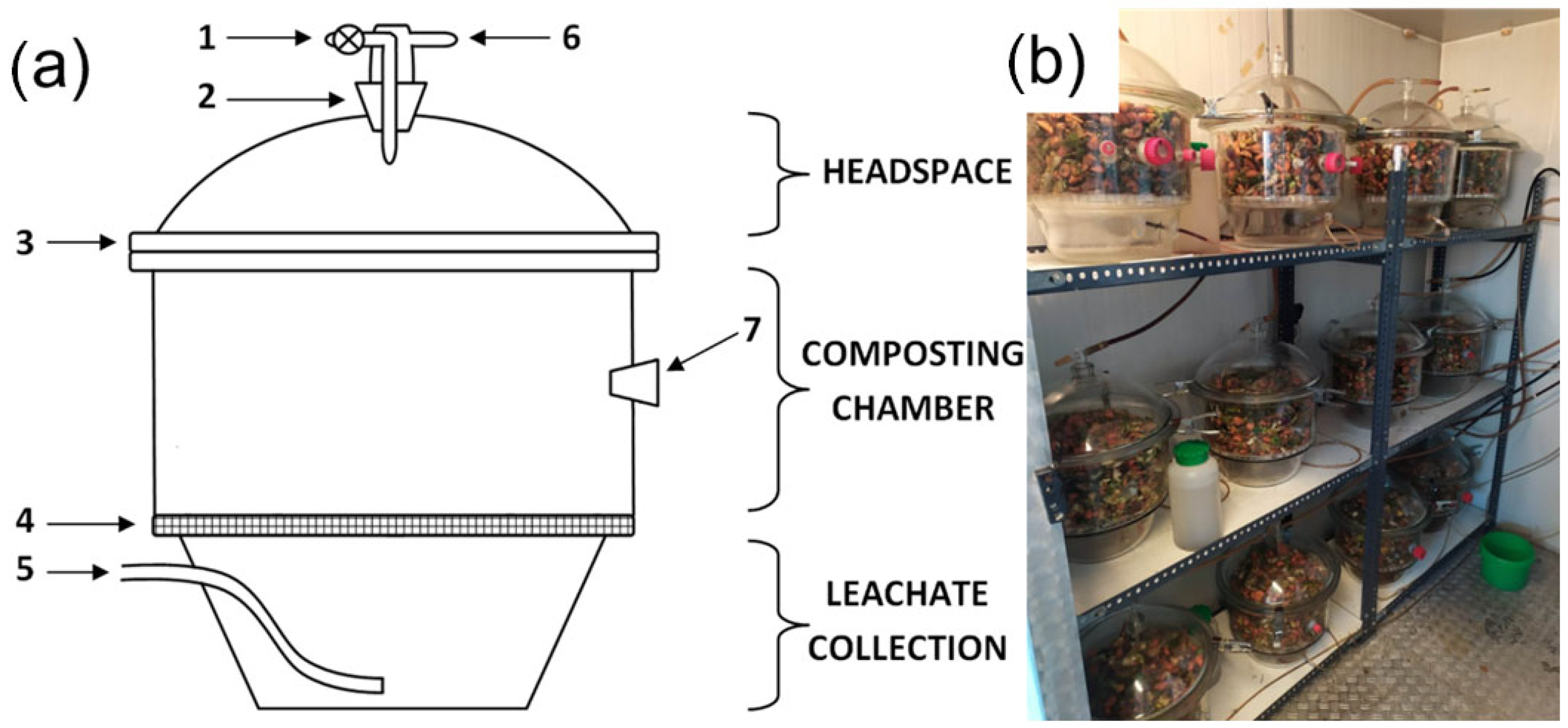 Materials 16 04551 g001