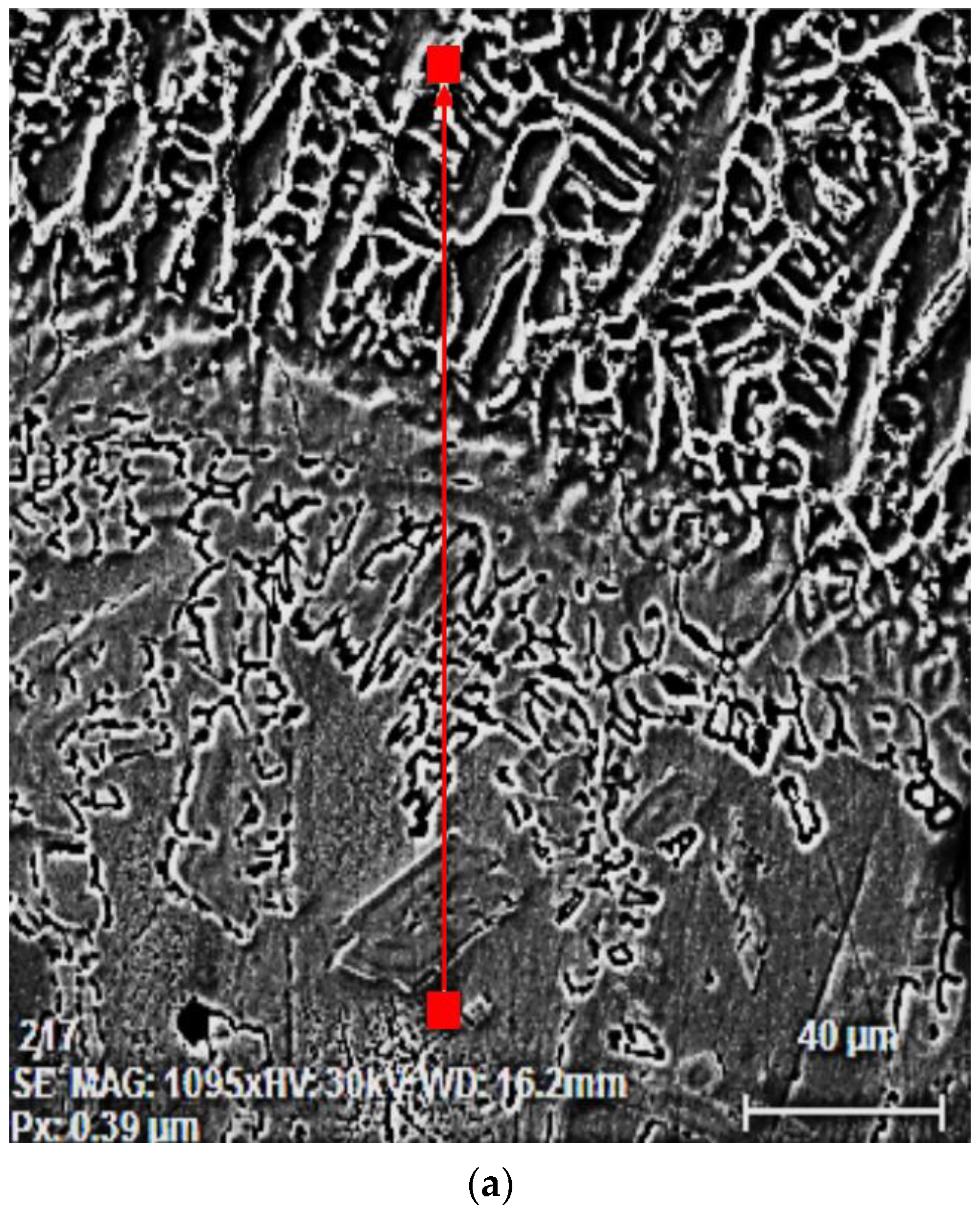 Materials 16 04557 g005a Materials 16 04557 g005a