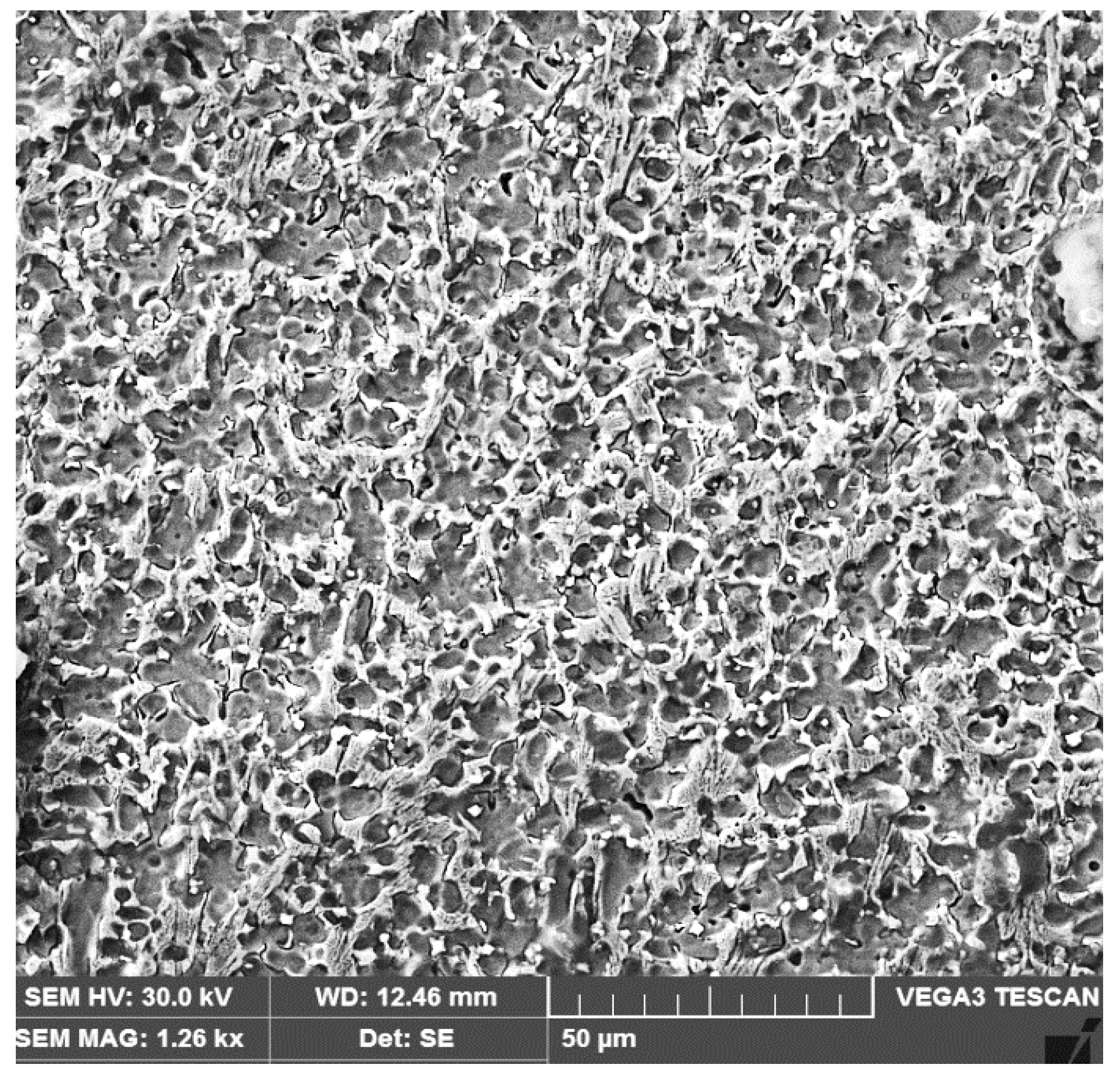 Materials 16 04557 g011 Materials 16 04557 g011