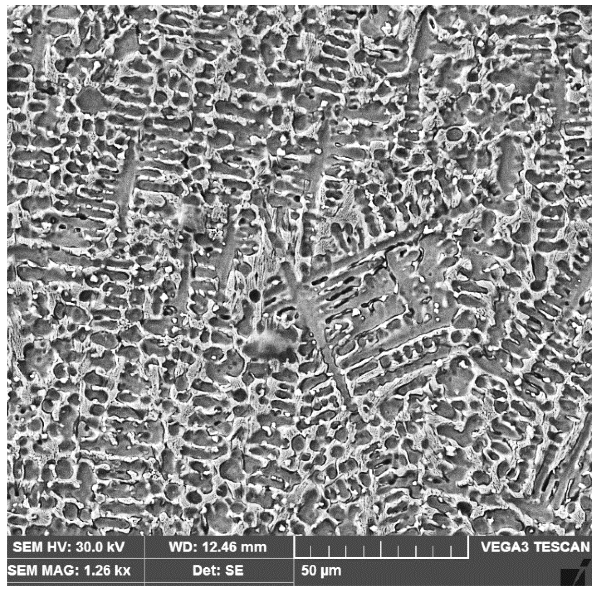 Materials 16 04557 g012 Materials 16 04557 g012