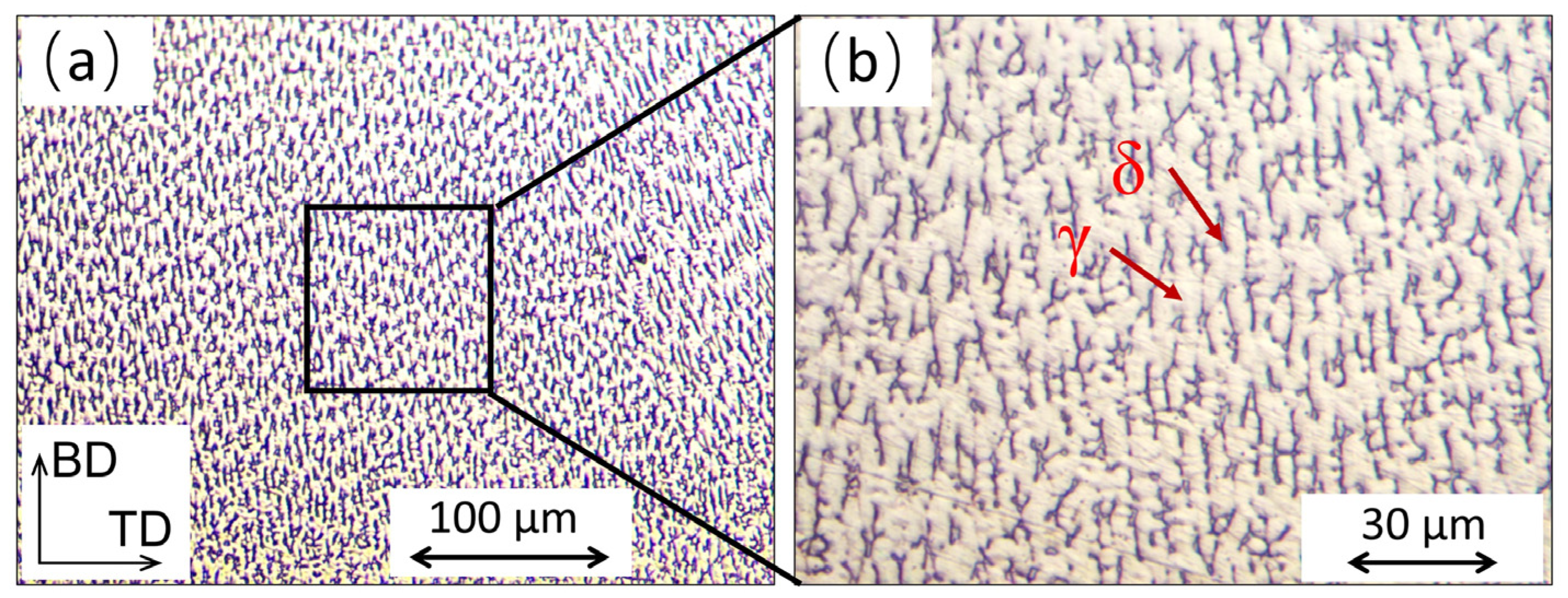 Materials 16 04561 g006