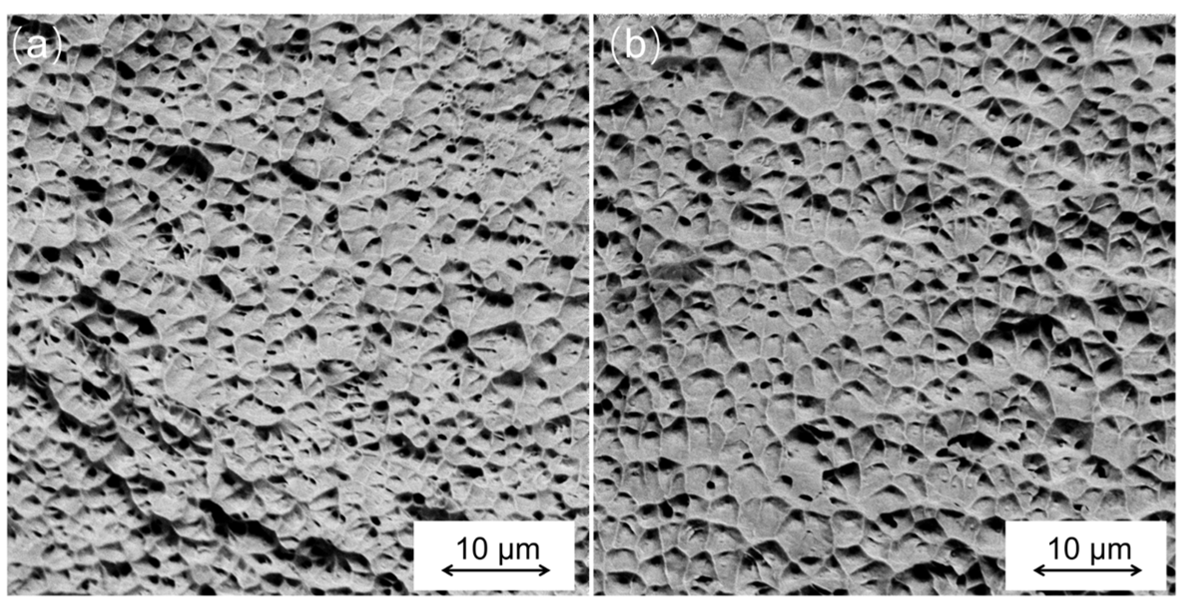 Materials 16 04561 g008