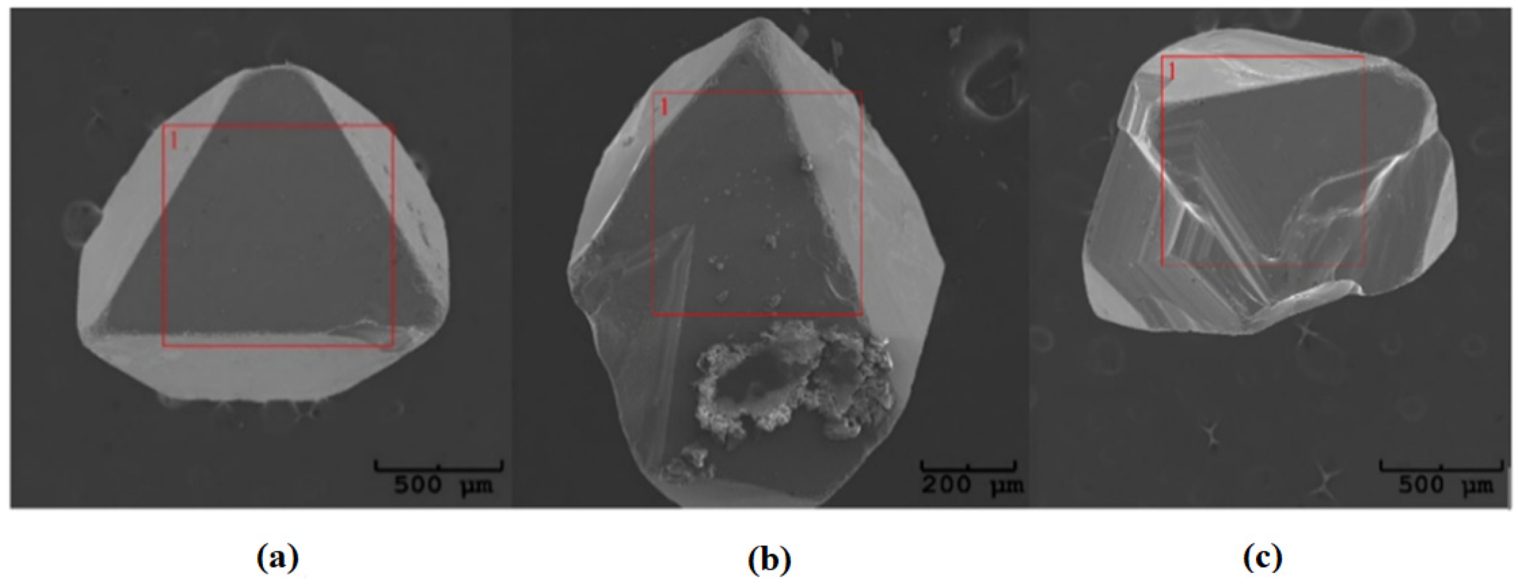 Materials 16 04565 g004 Materials 16 04565 g004