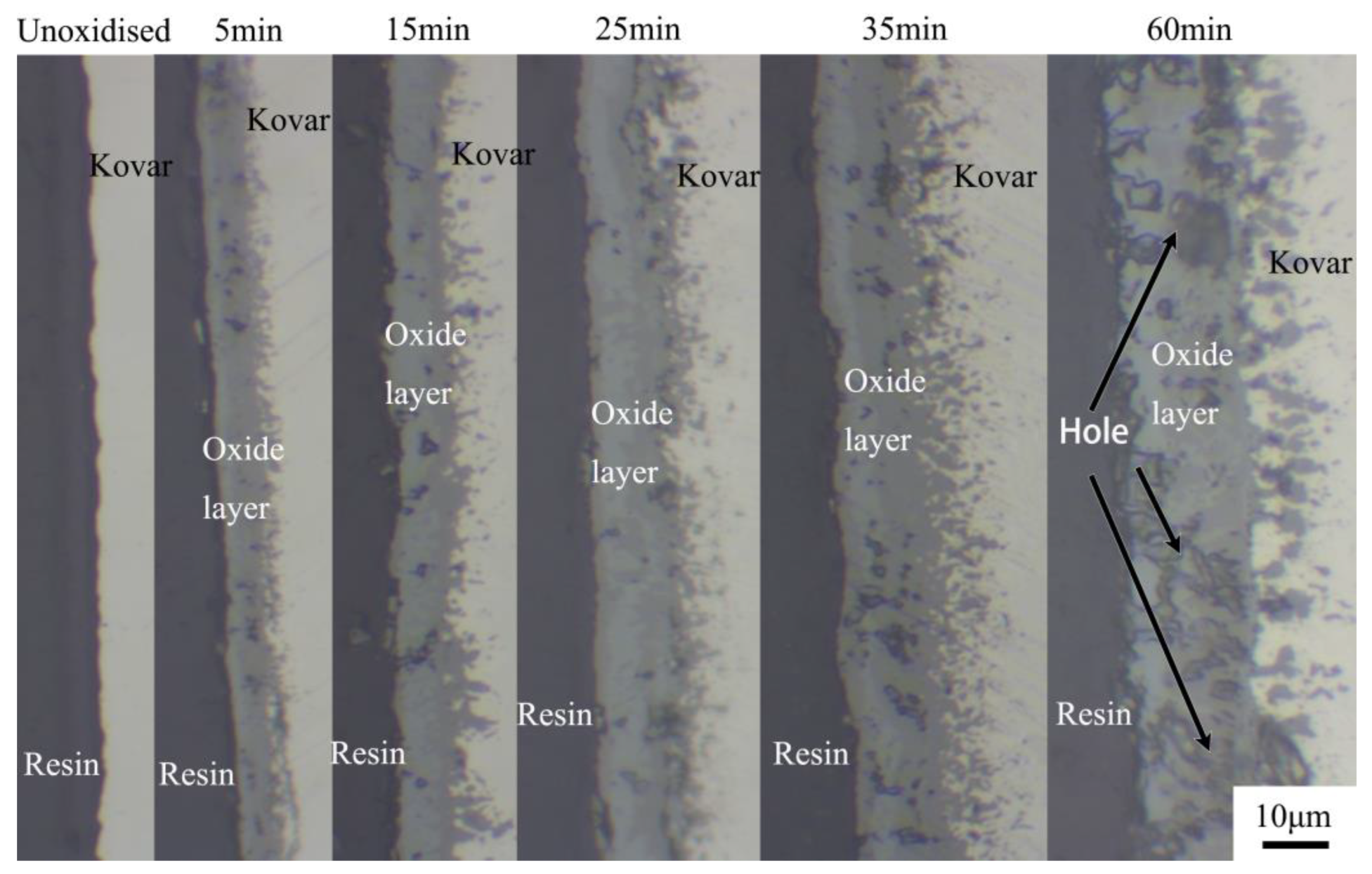 Materials 16 04628 g002