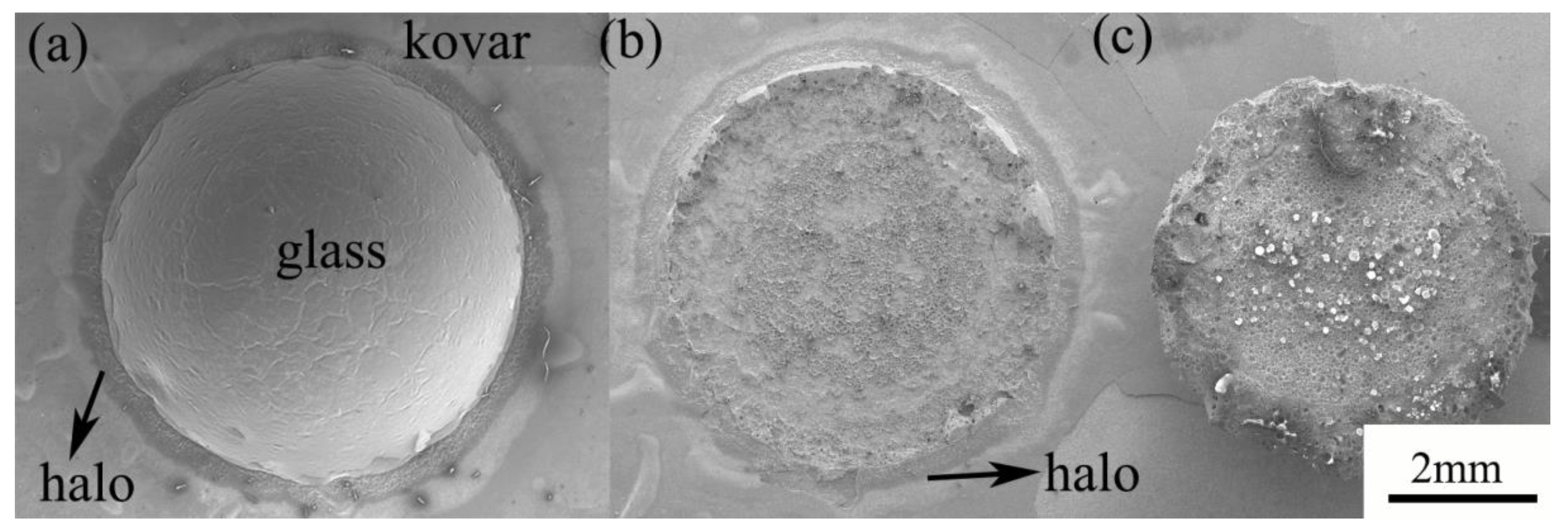 Materials 16 04628 g016