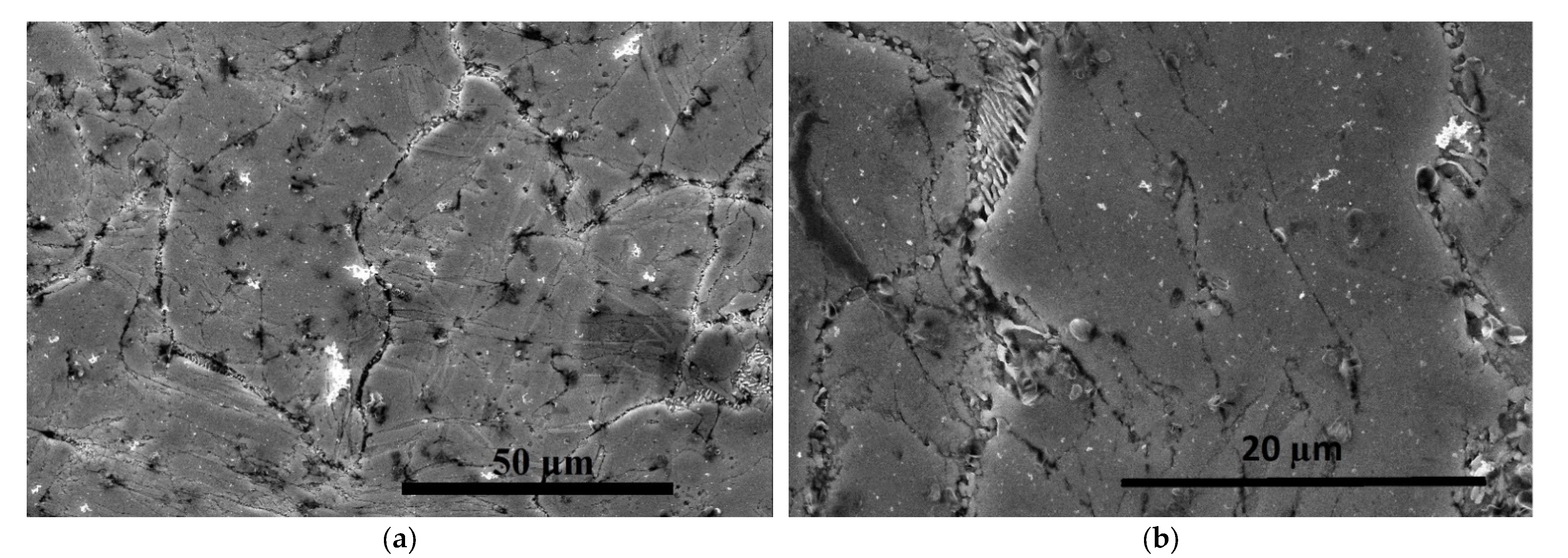Materials 16 04646 g007 Materials 16 04646 g007