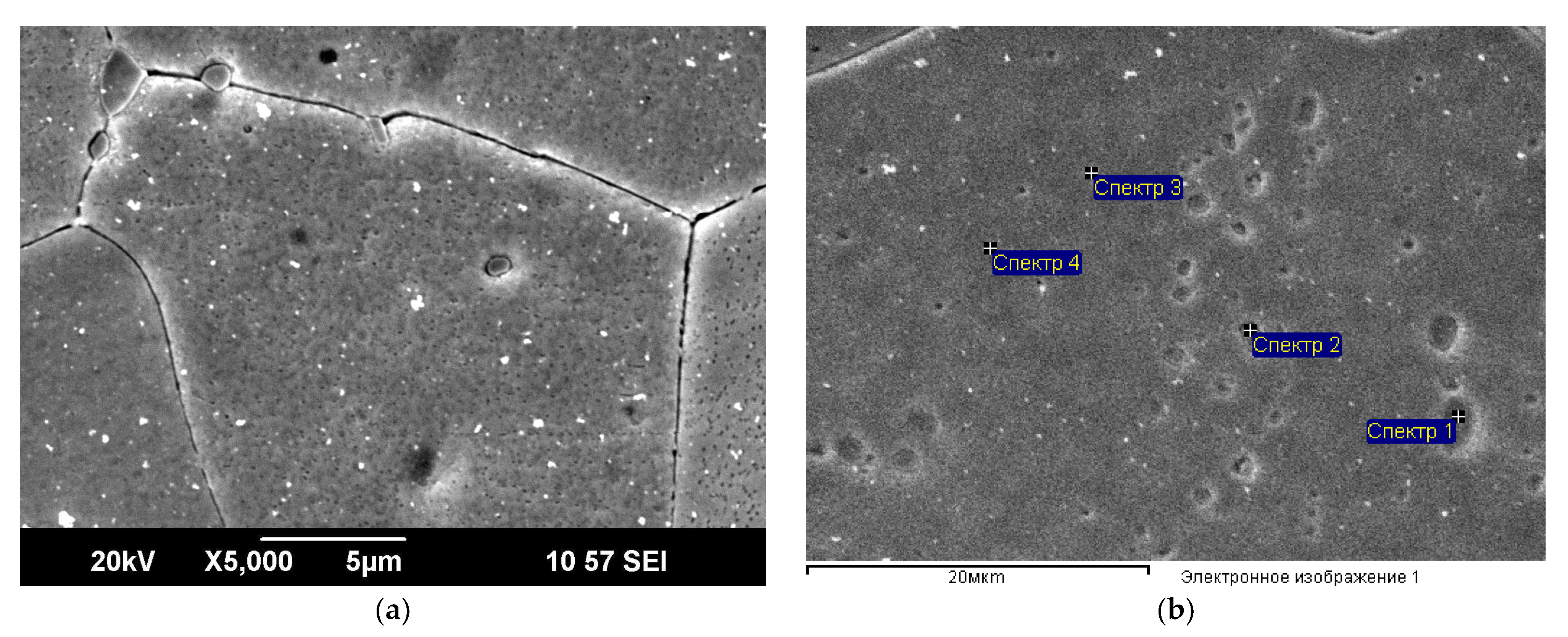 Materials 16 04646 g009 Materials 16 04646 g009