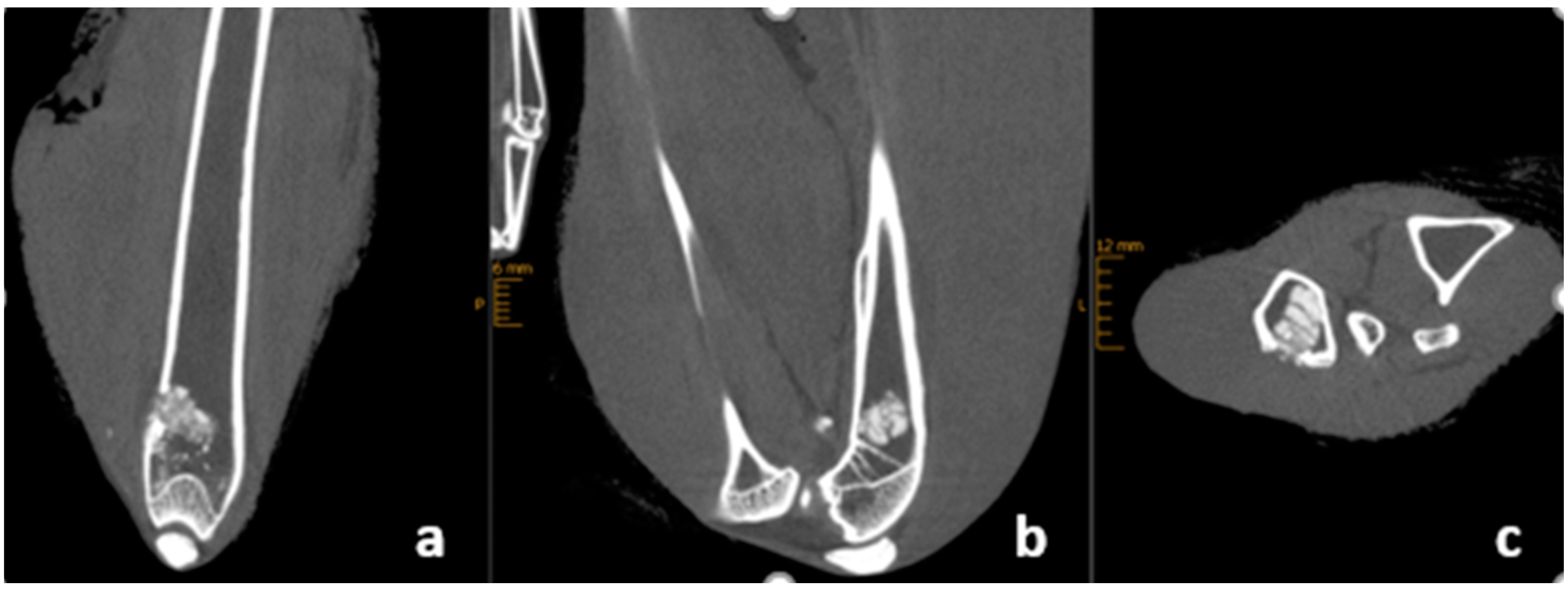 Materials 16 04650 g002