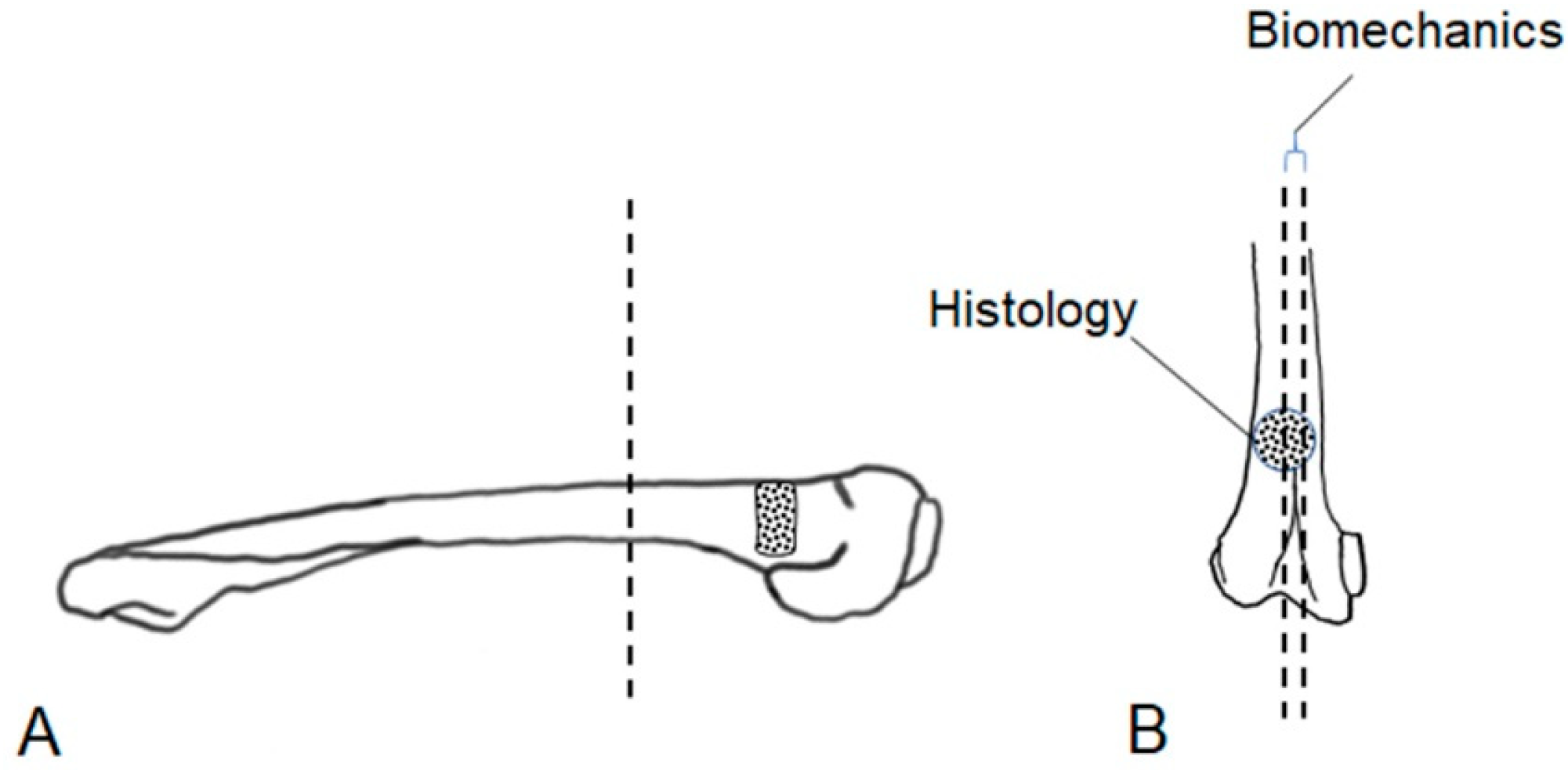 Materials 16 04650 g003