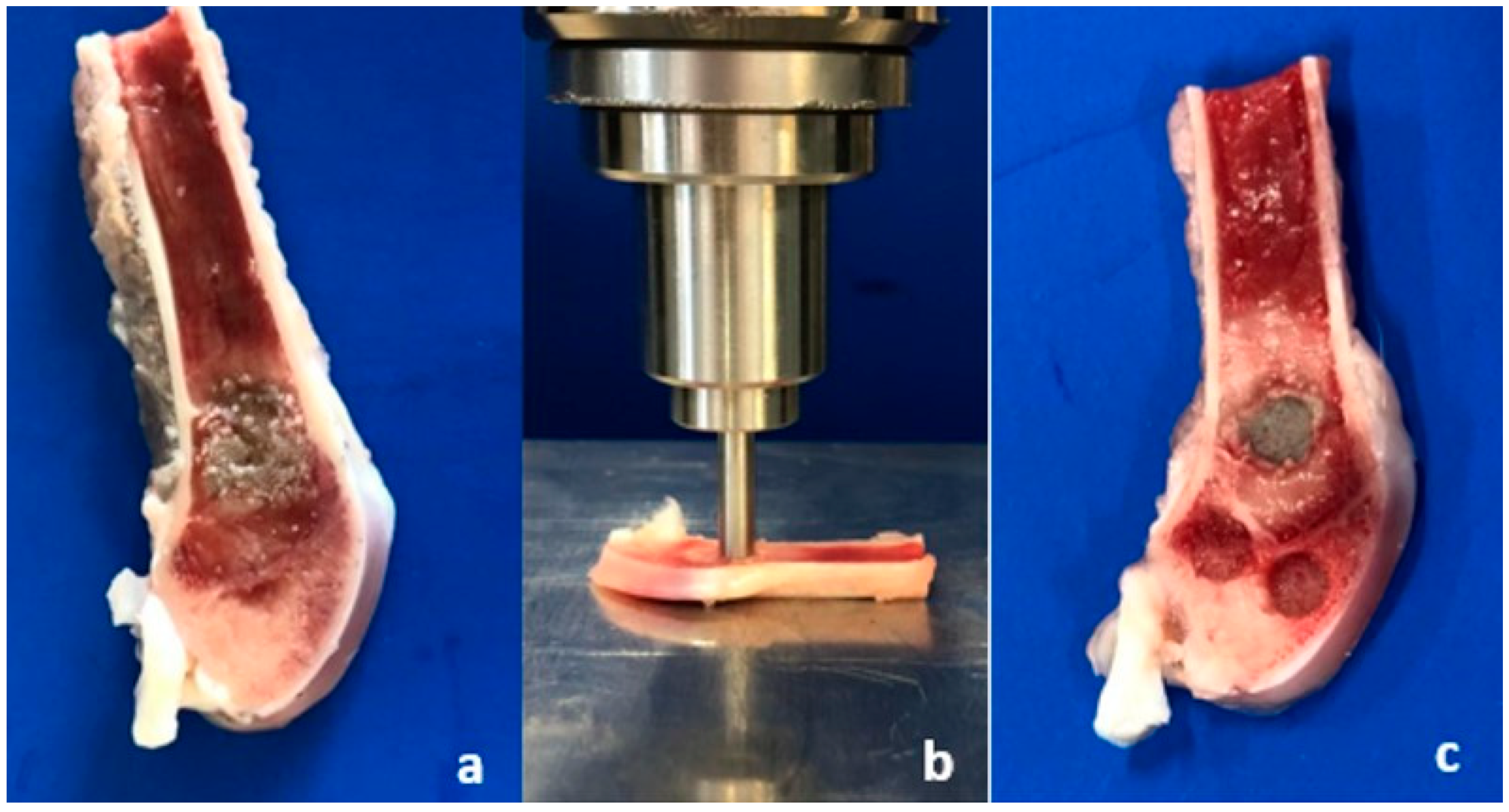 Materials 16 04650 g004