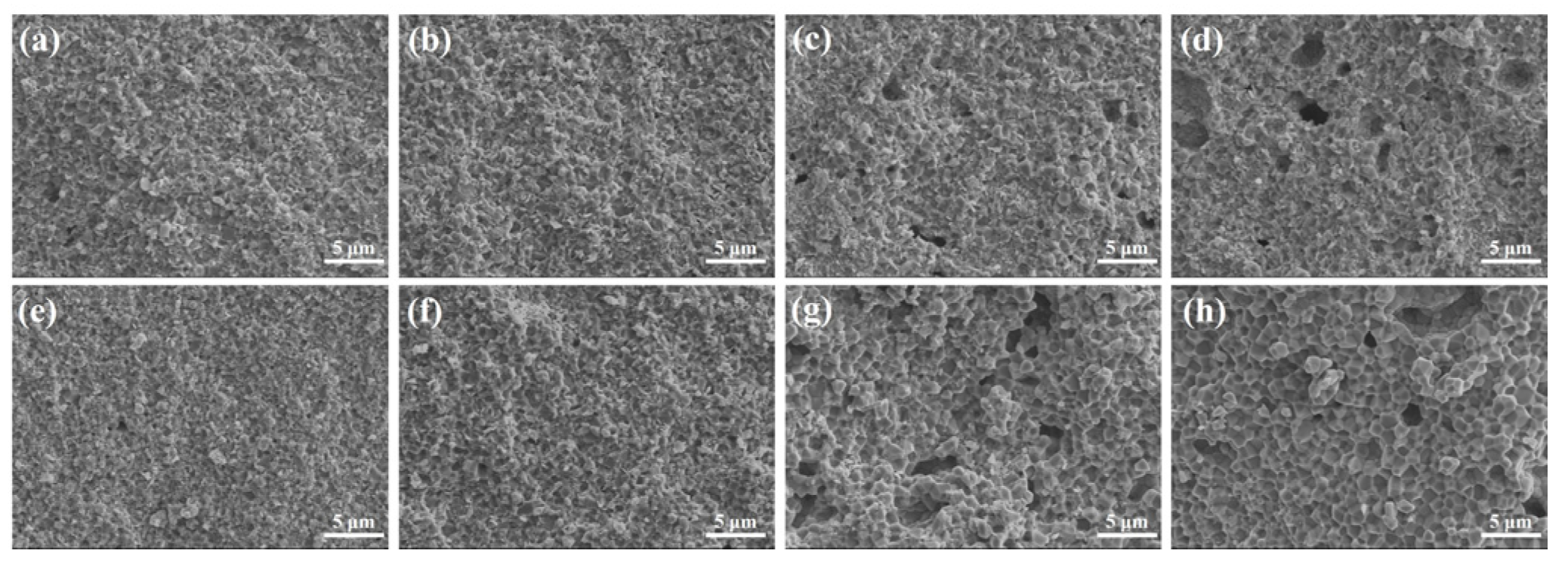 Materials 16 04673 g007