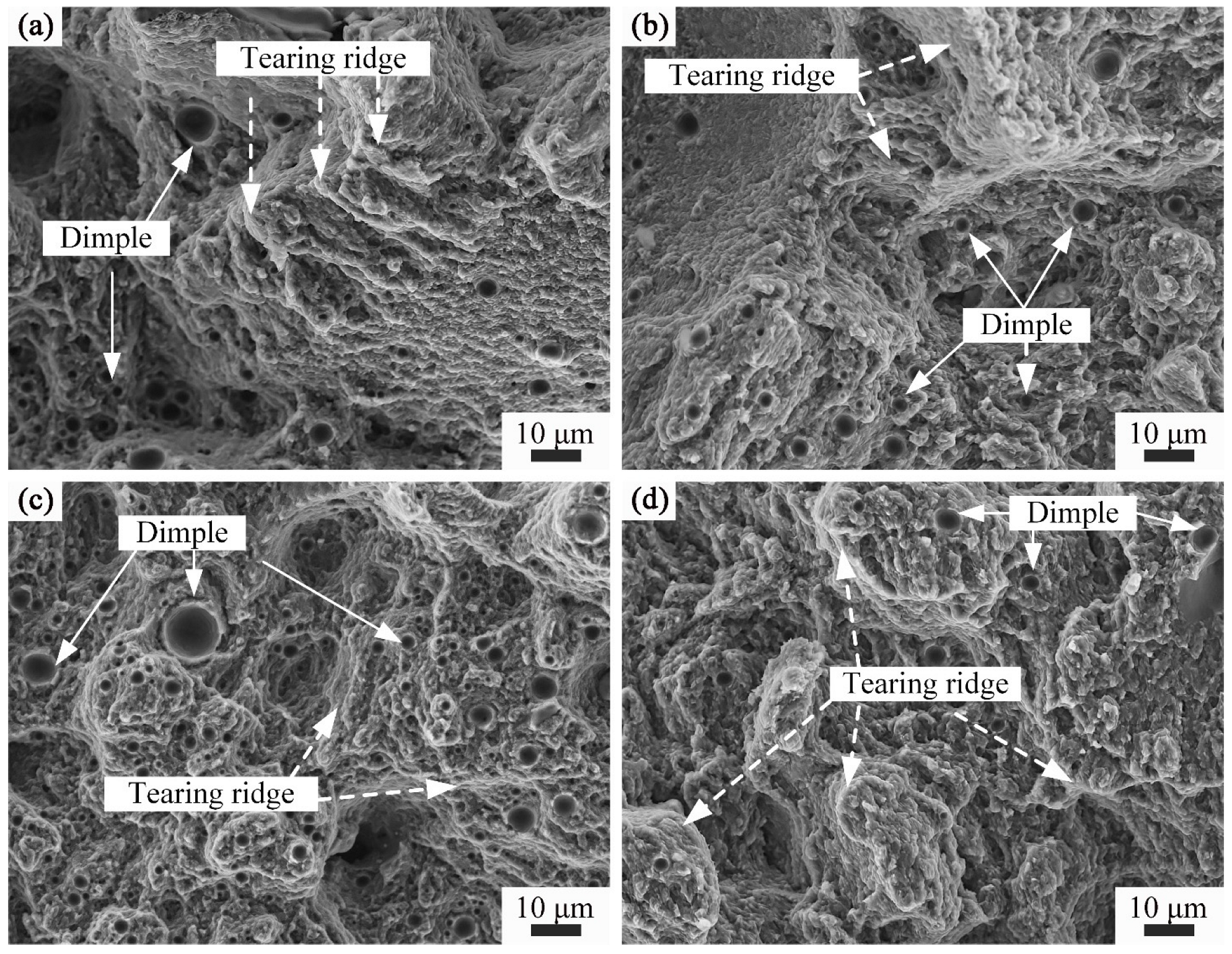 Materials 16 04679 g014