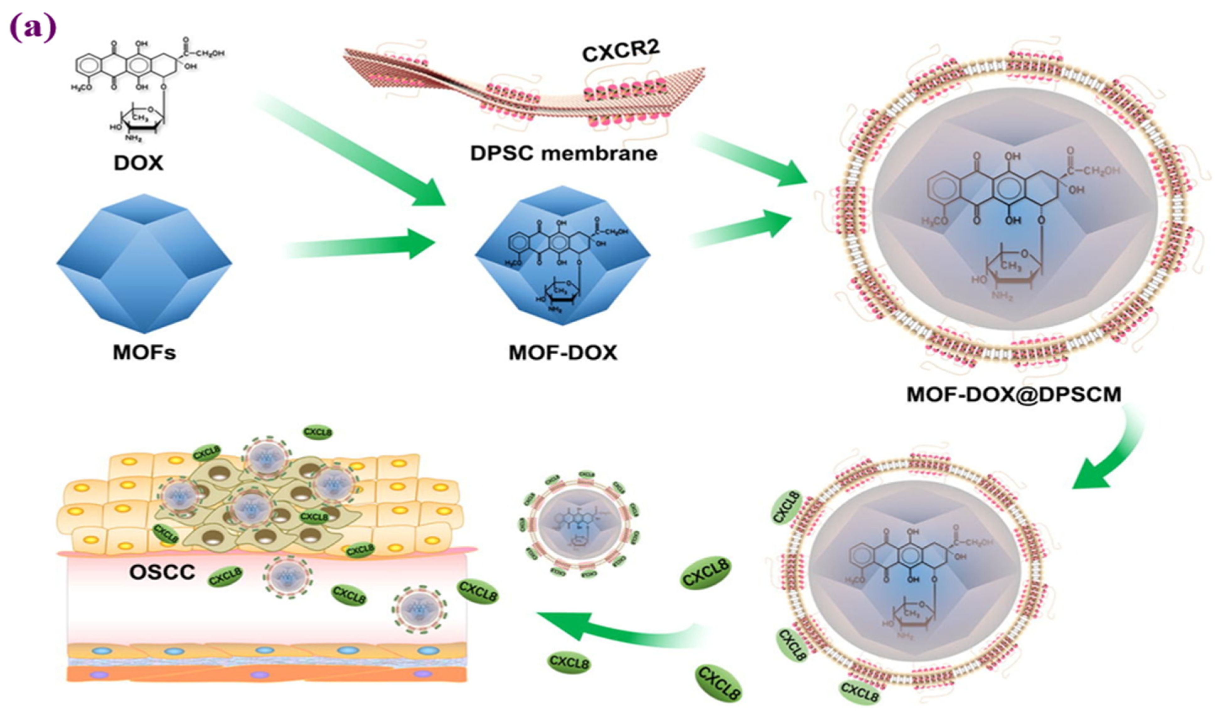 Materials 16 04685 g008a