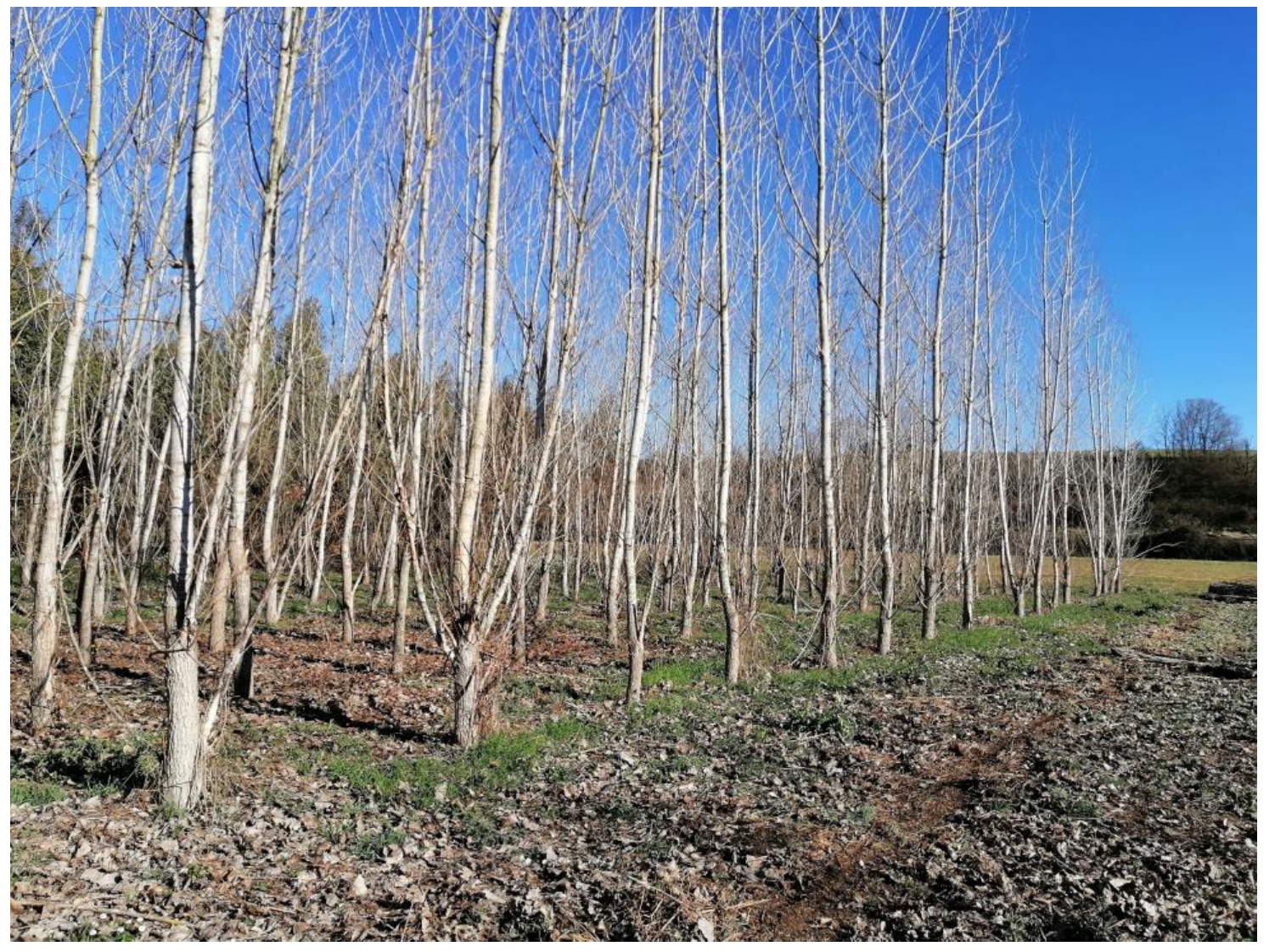 Materials 16 04689 g003 Materials 16 04689 g003