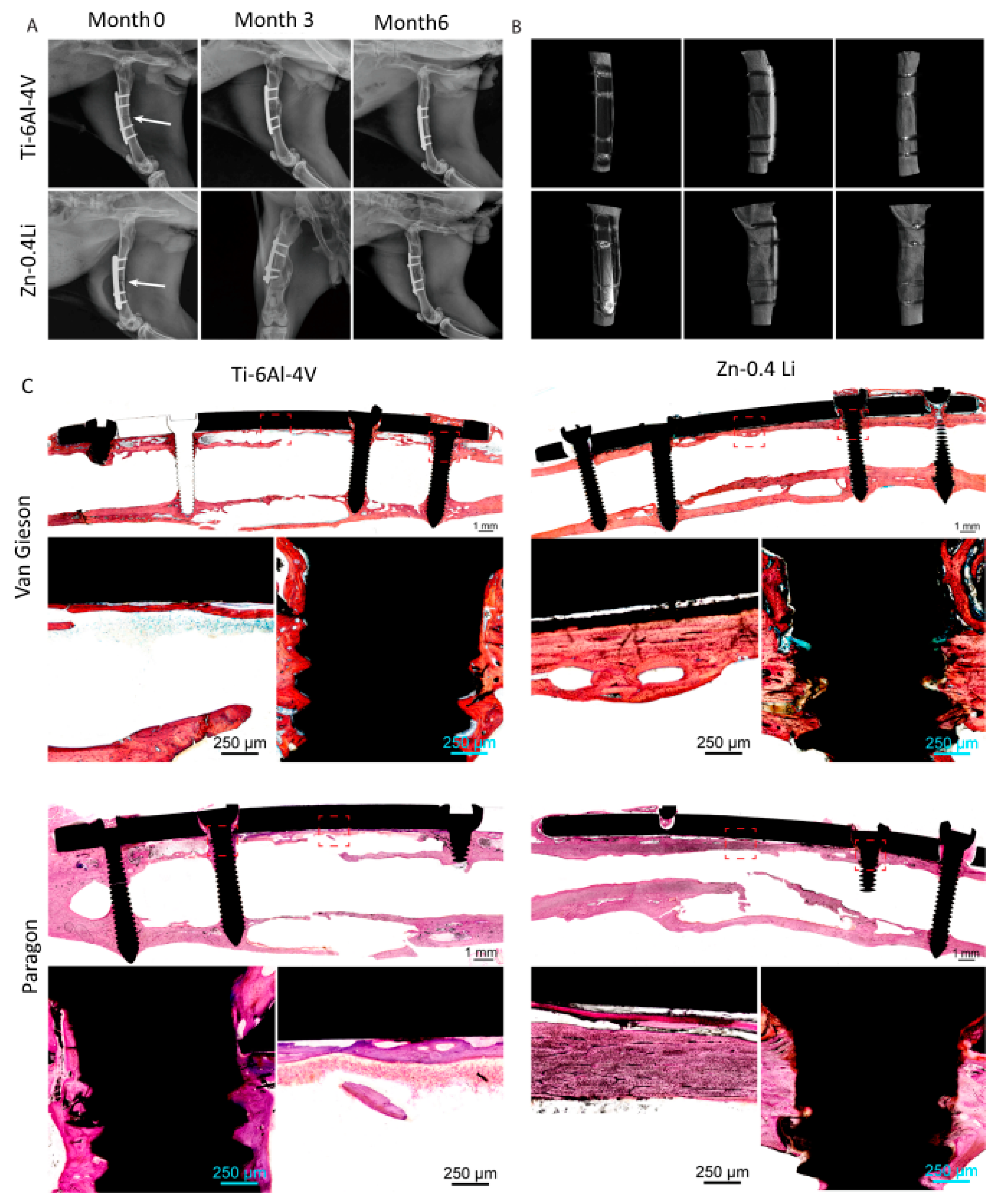 Materials 16 04797 g005 Materials 16 04797 g005