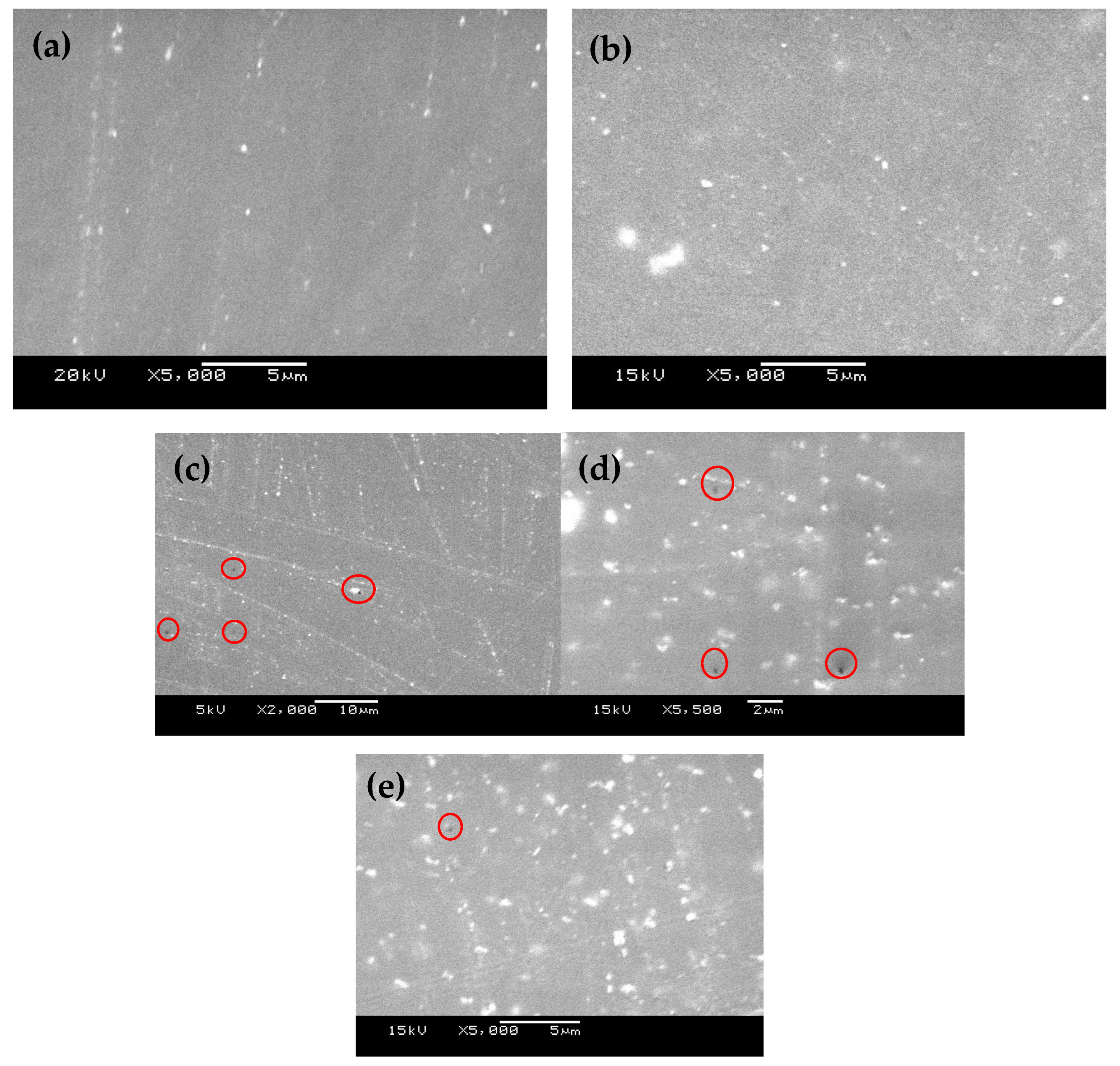 TEM images of micromorphology of (A) HSA and (B) DDC@HSA (scale