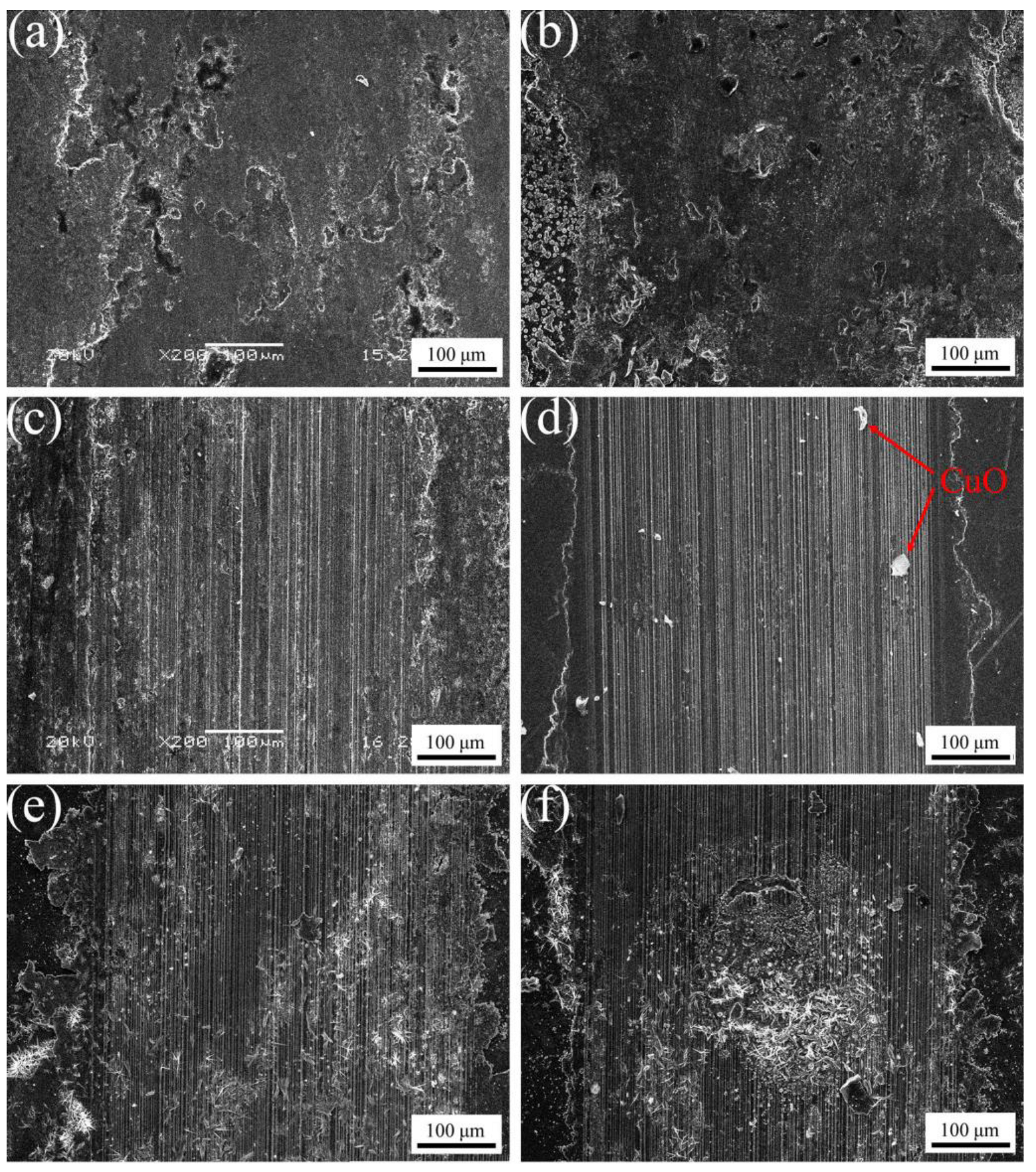 Materials 16 04819 g010