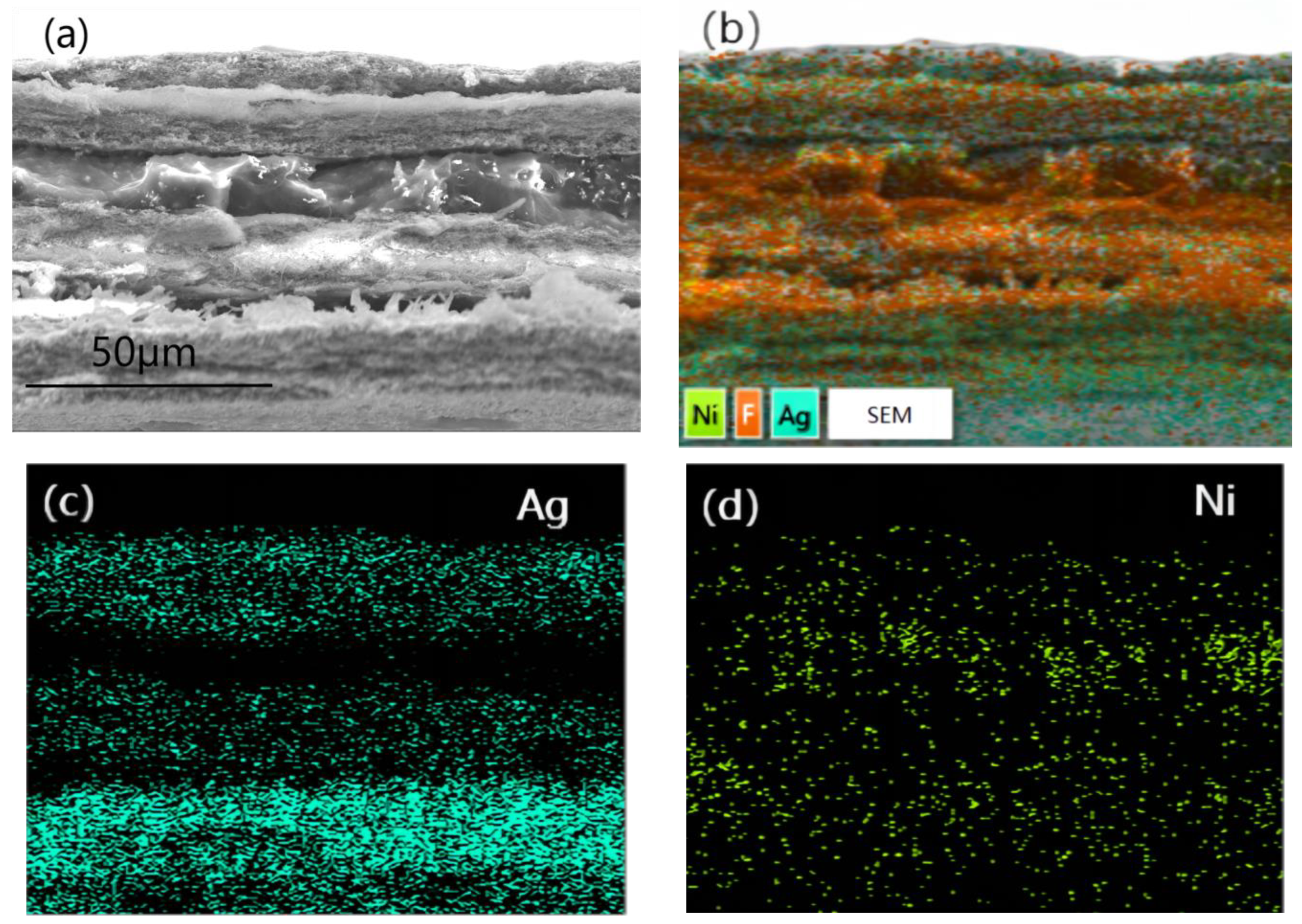Materials 16 04831 g005