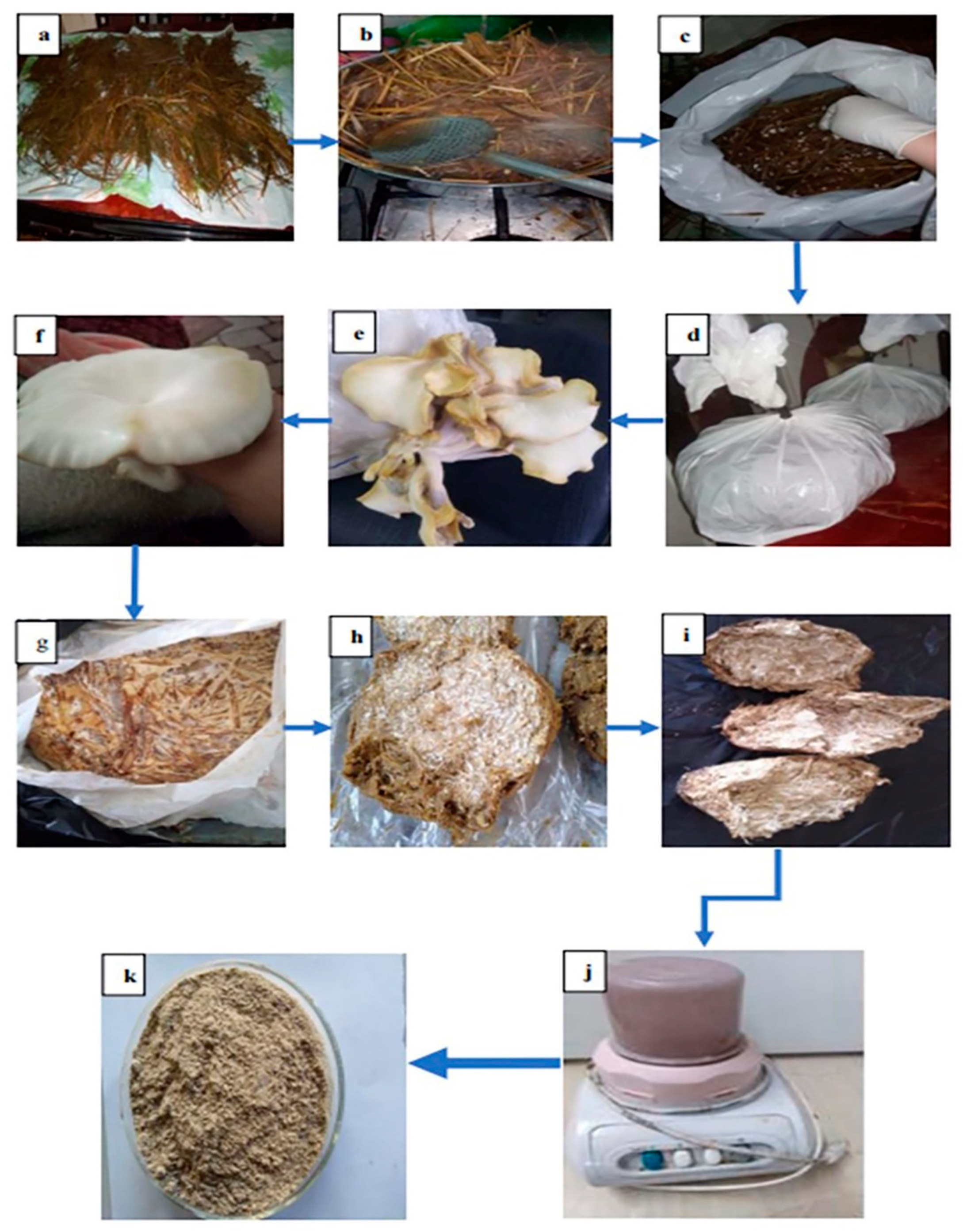 Cultivation on exterior of porous ceramics