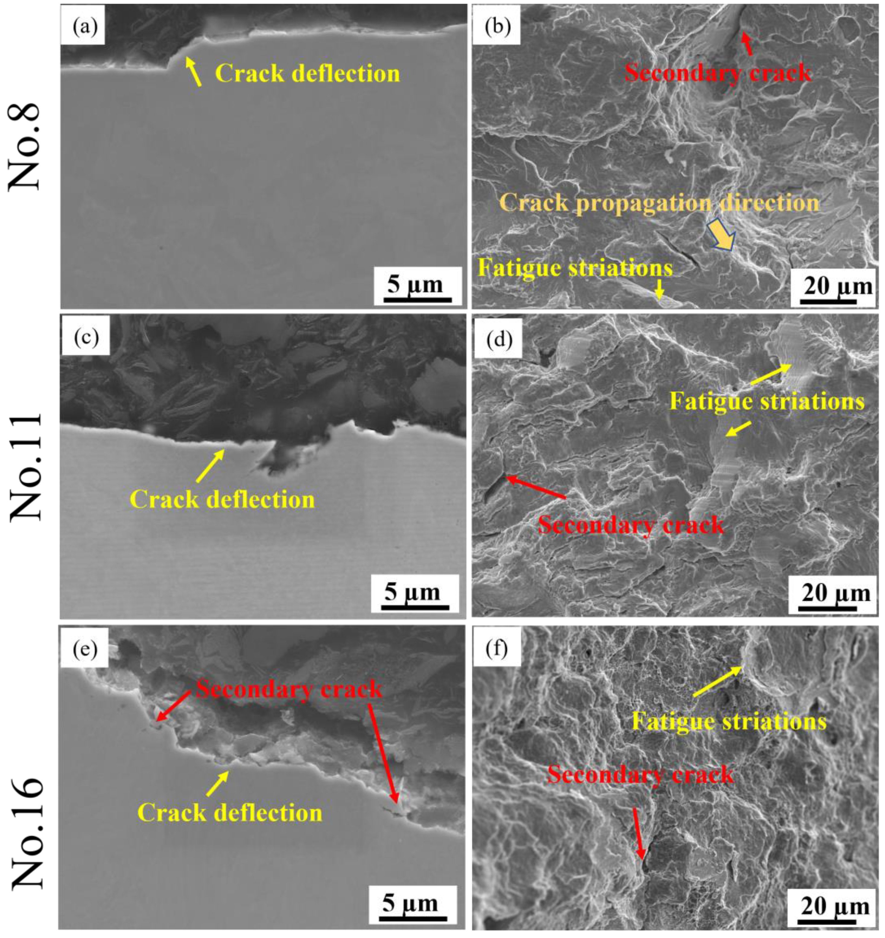Materials 16 04921 g012