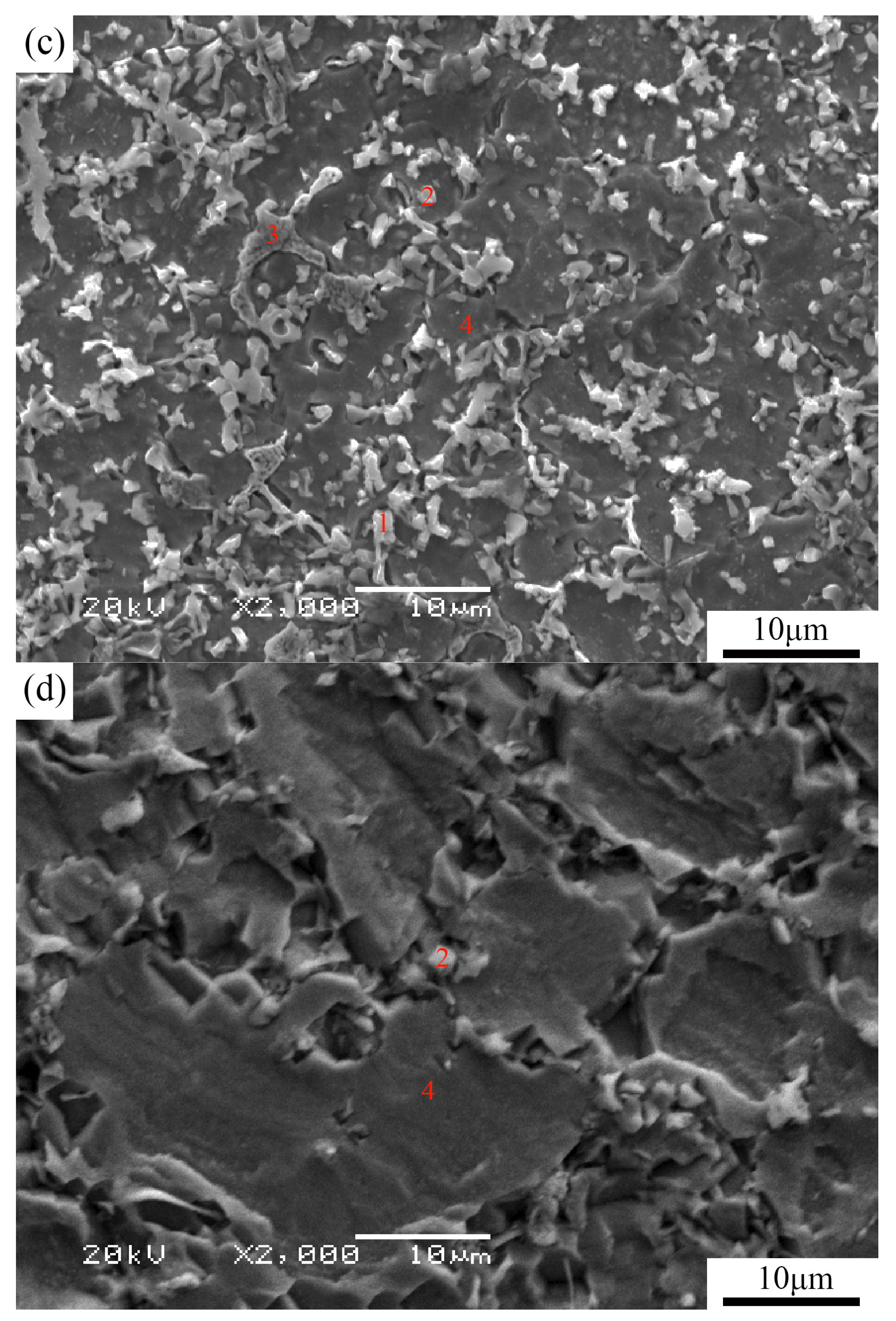 Materials 16 04935 g004b