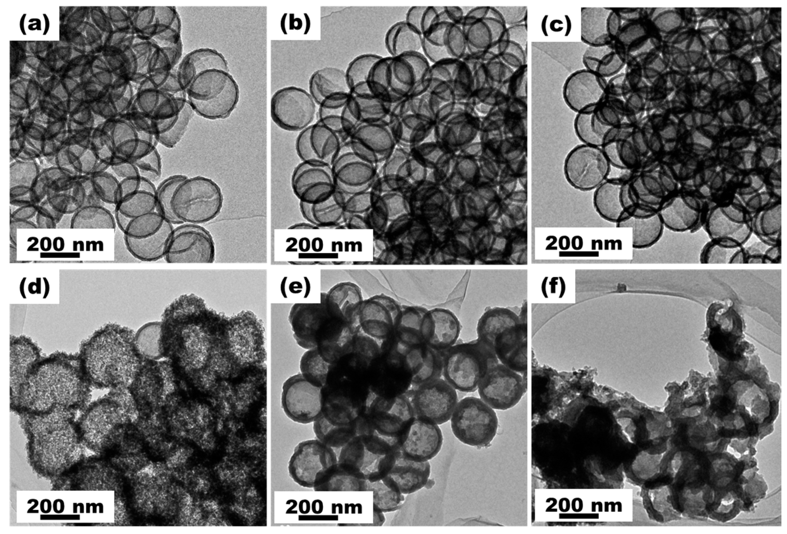 Materials 16 04936 g005