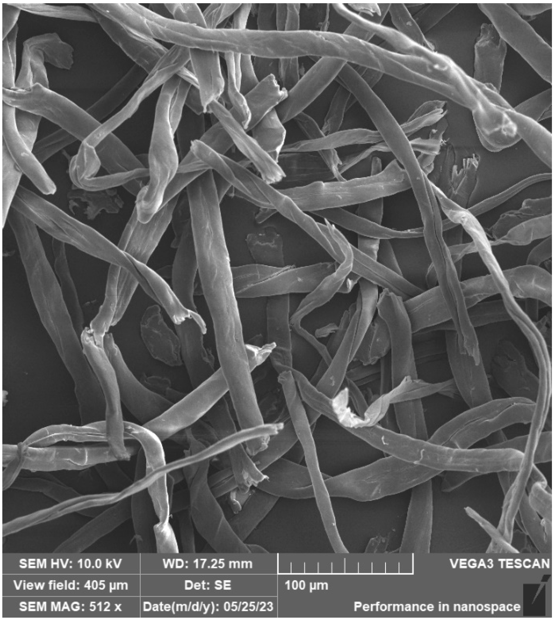 Materials 16 04955 g015