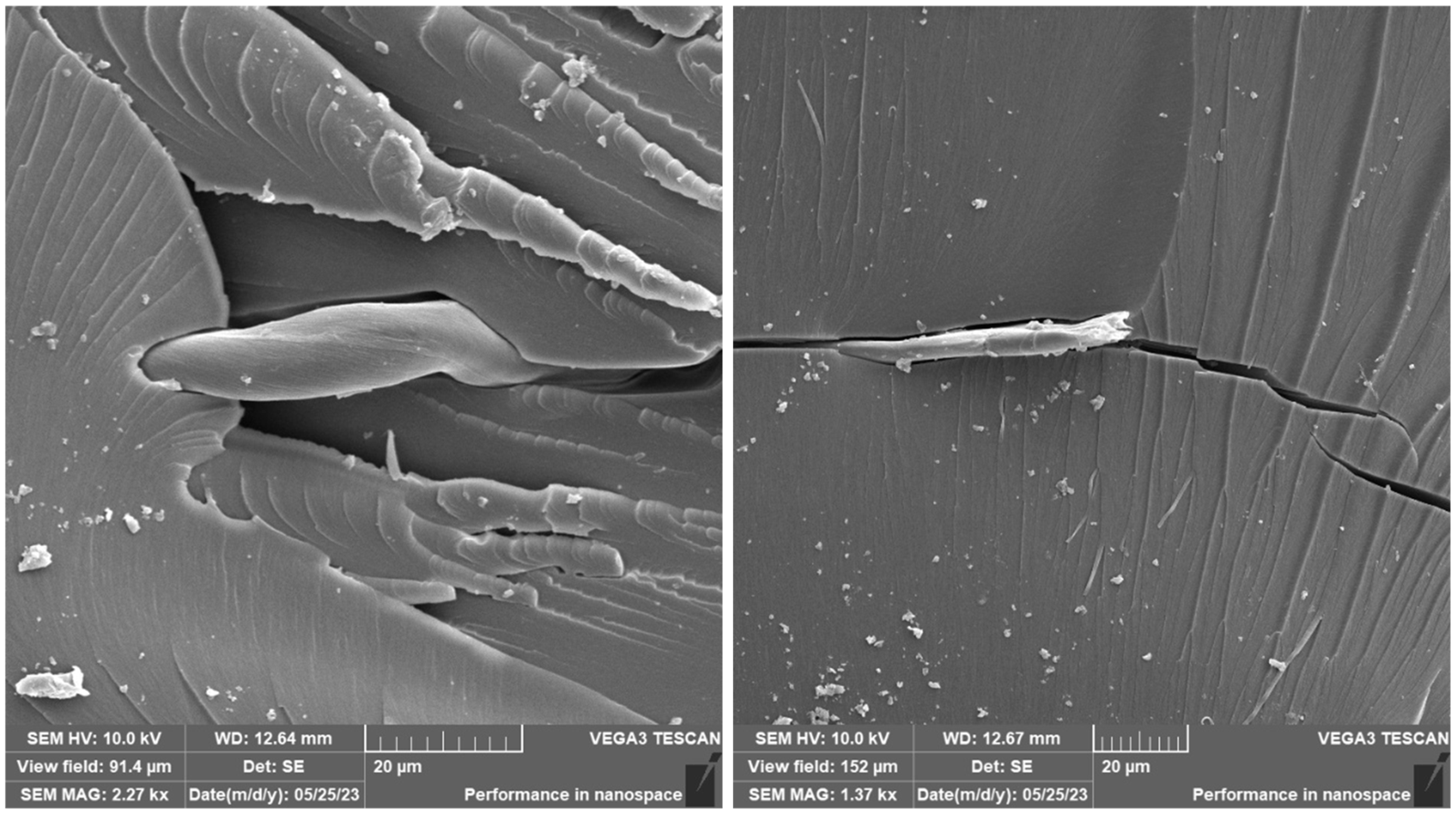 Materials 16 04955 g022