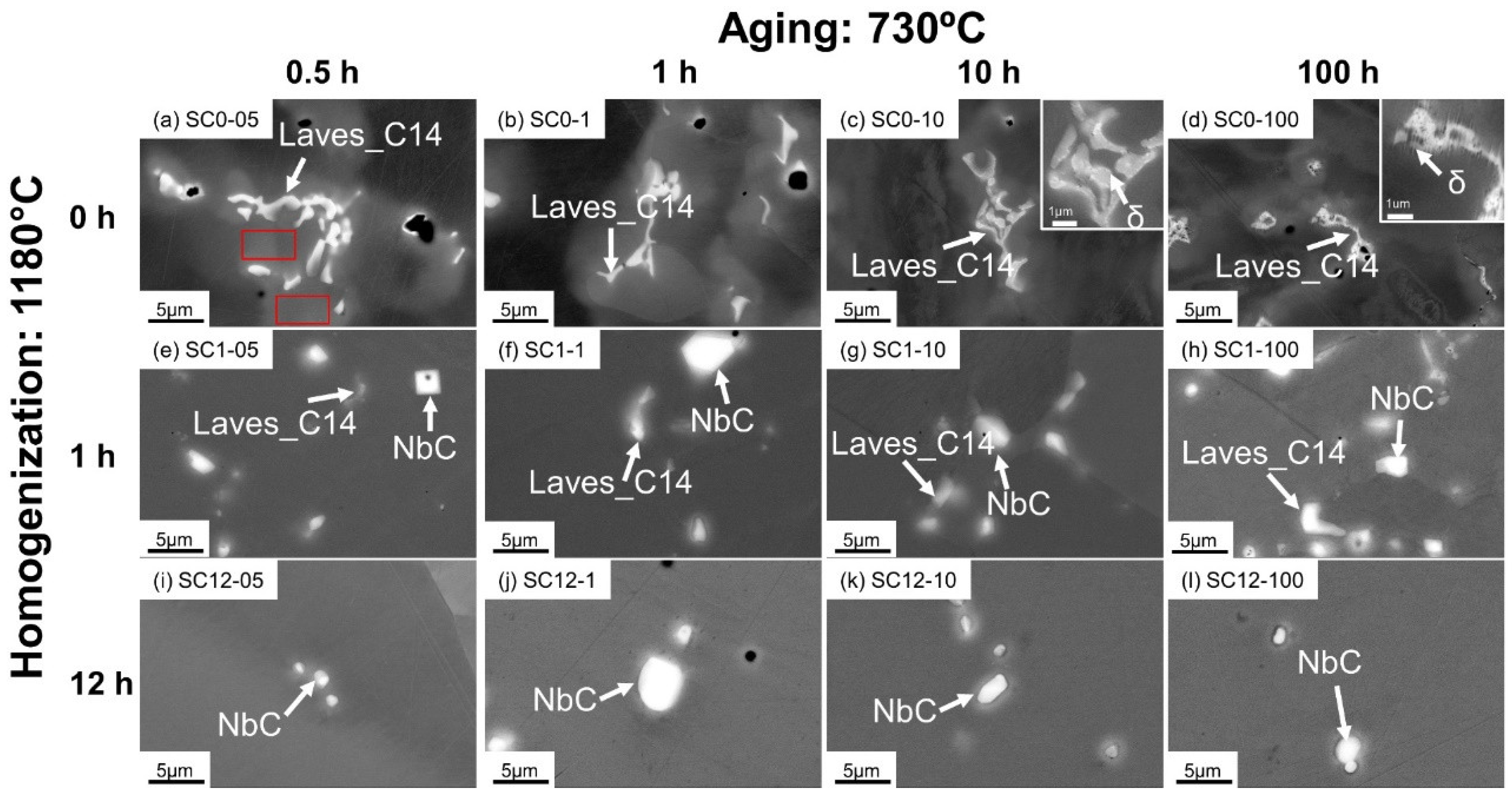 Materials 16 04968 g004 Materials 16 04968 g004