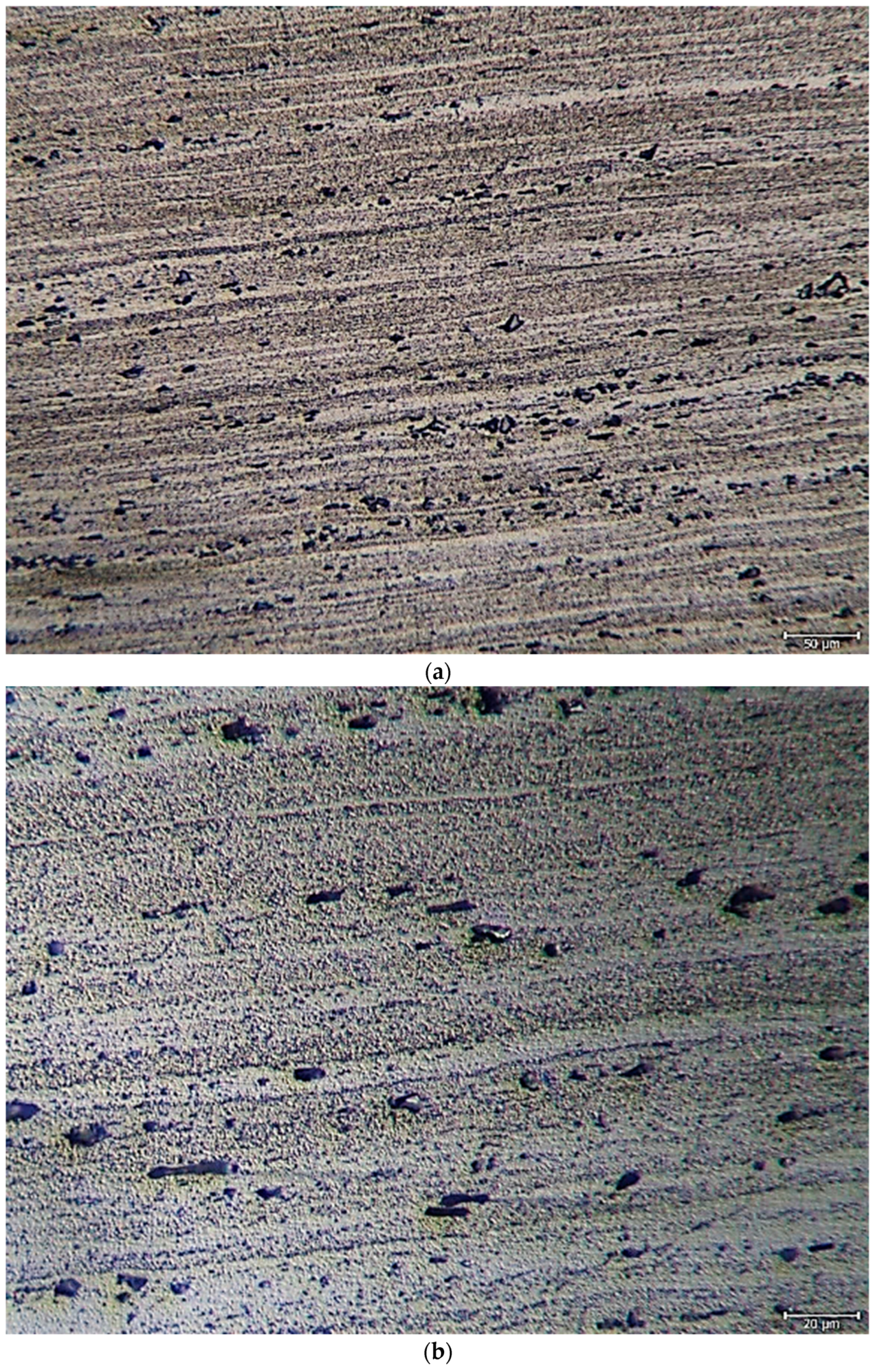 Materials 16 04996 g004a