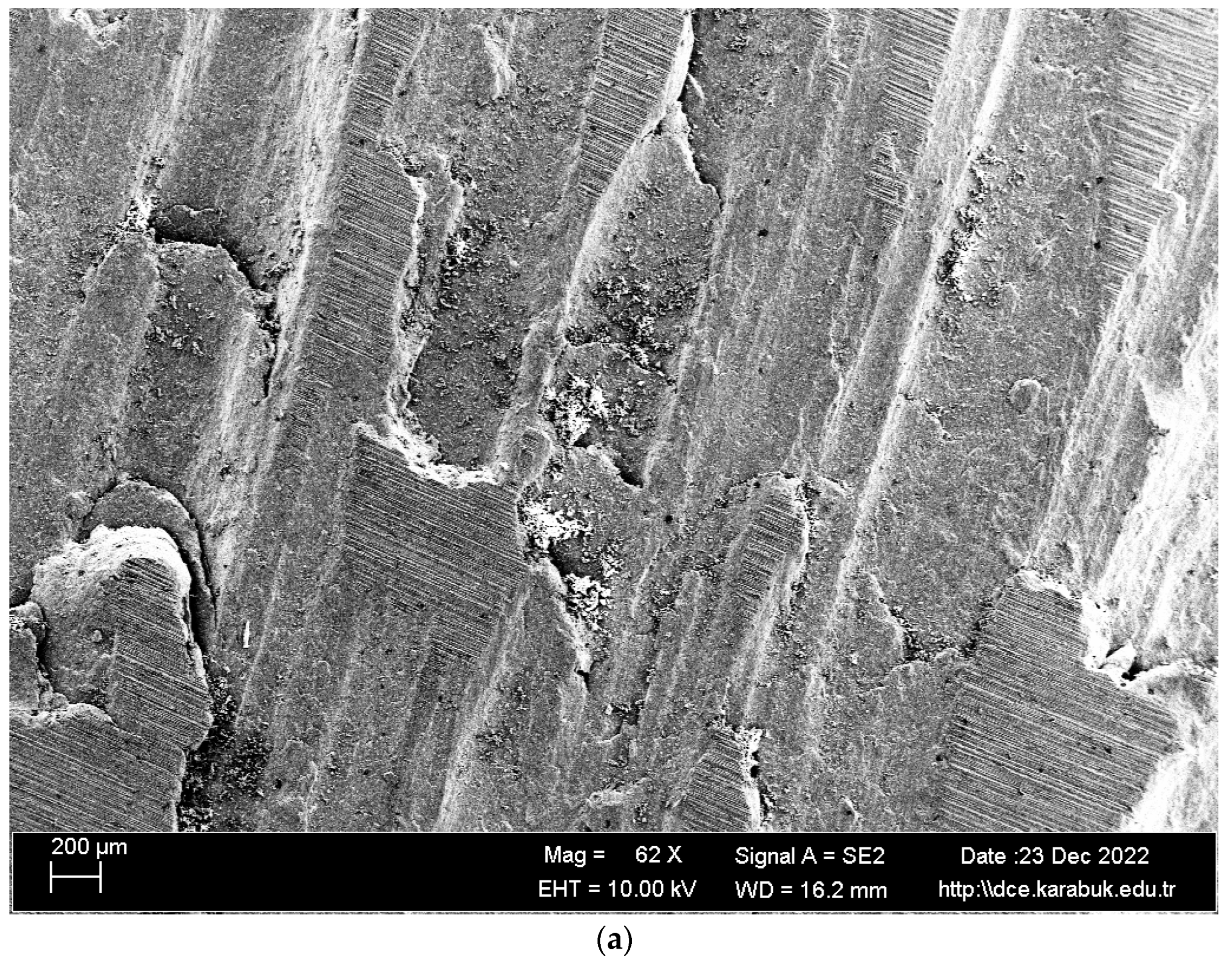 Materials 16 04996 g010a