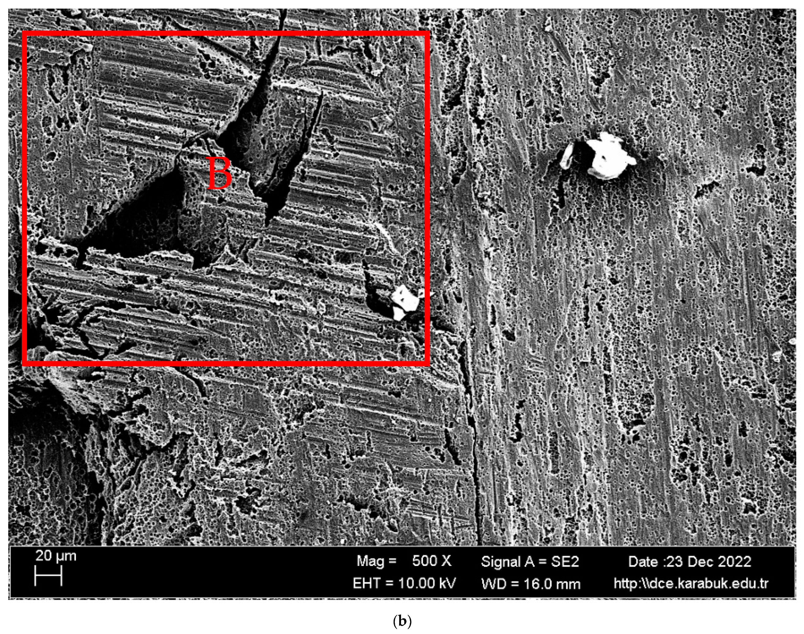 Materials 16 04996 g012b