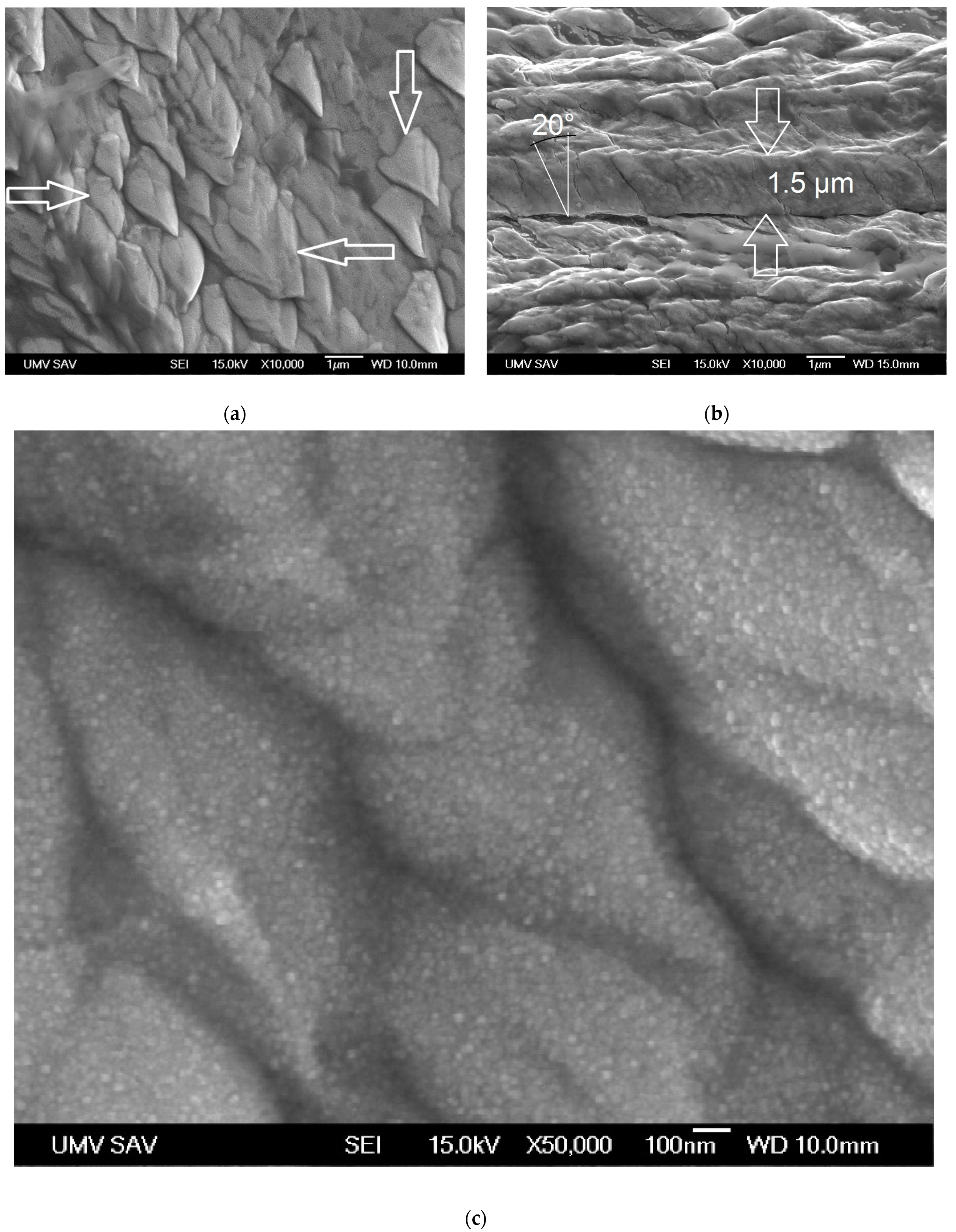 Materials 16 05044 g002 Materials 16 05044 g002