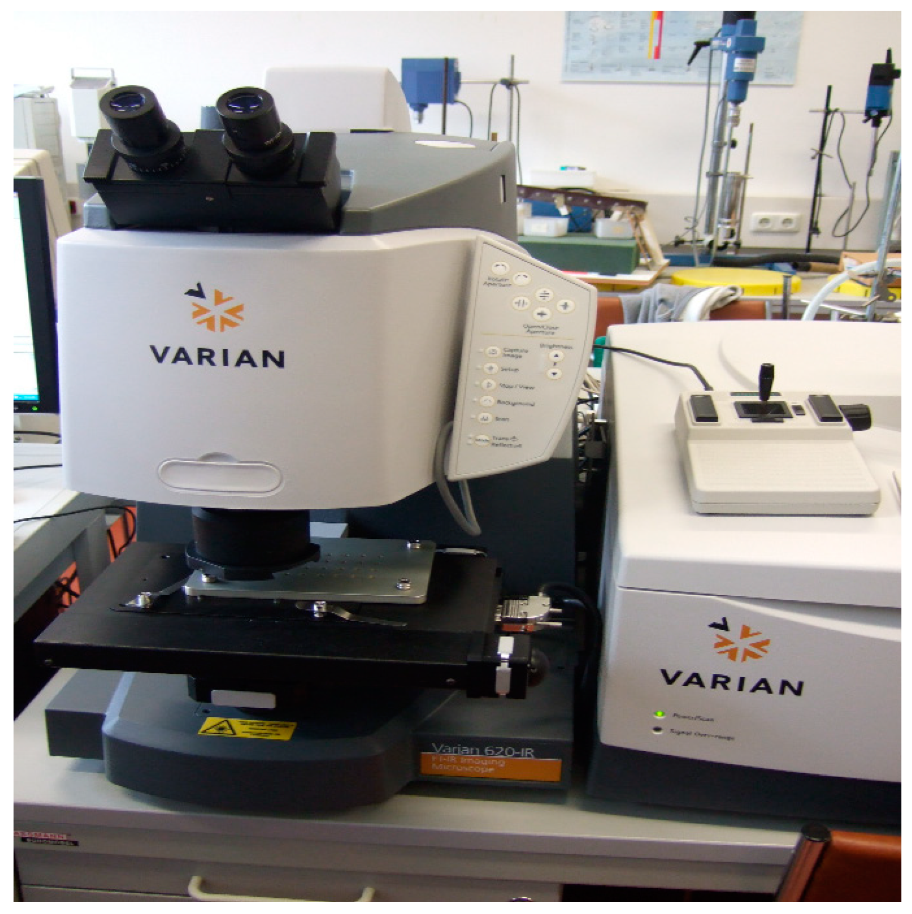 Materials 16 05046 g004