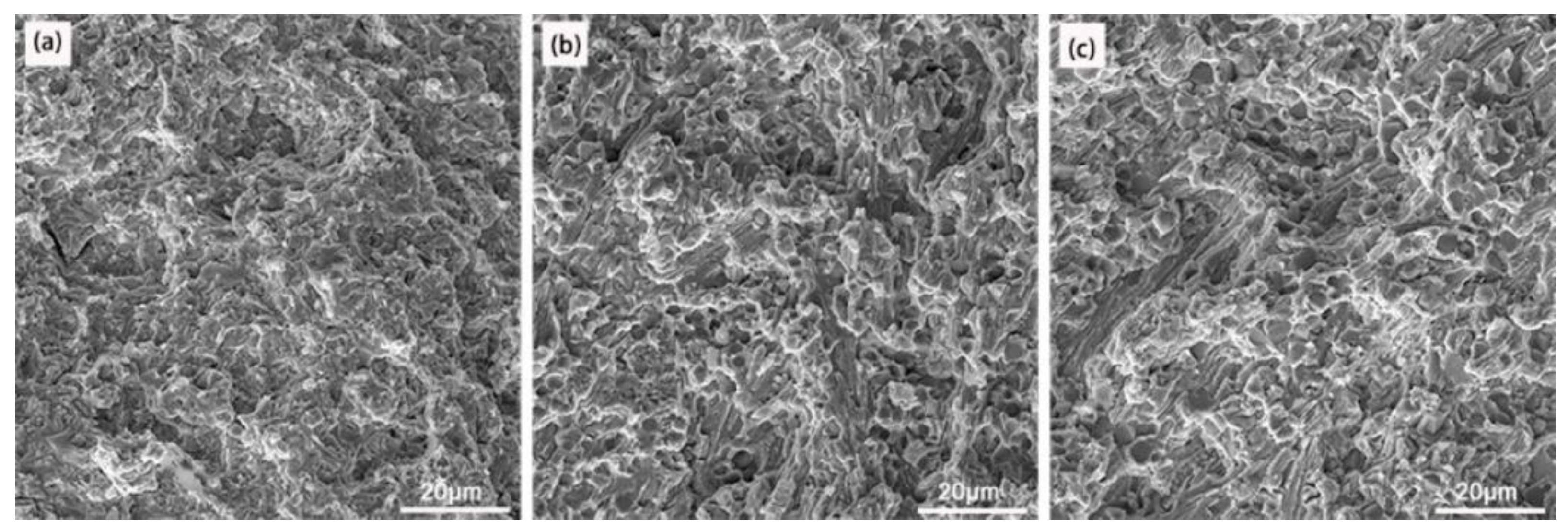 Materials 16 05059 g015