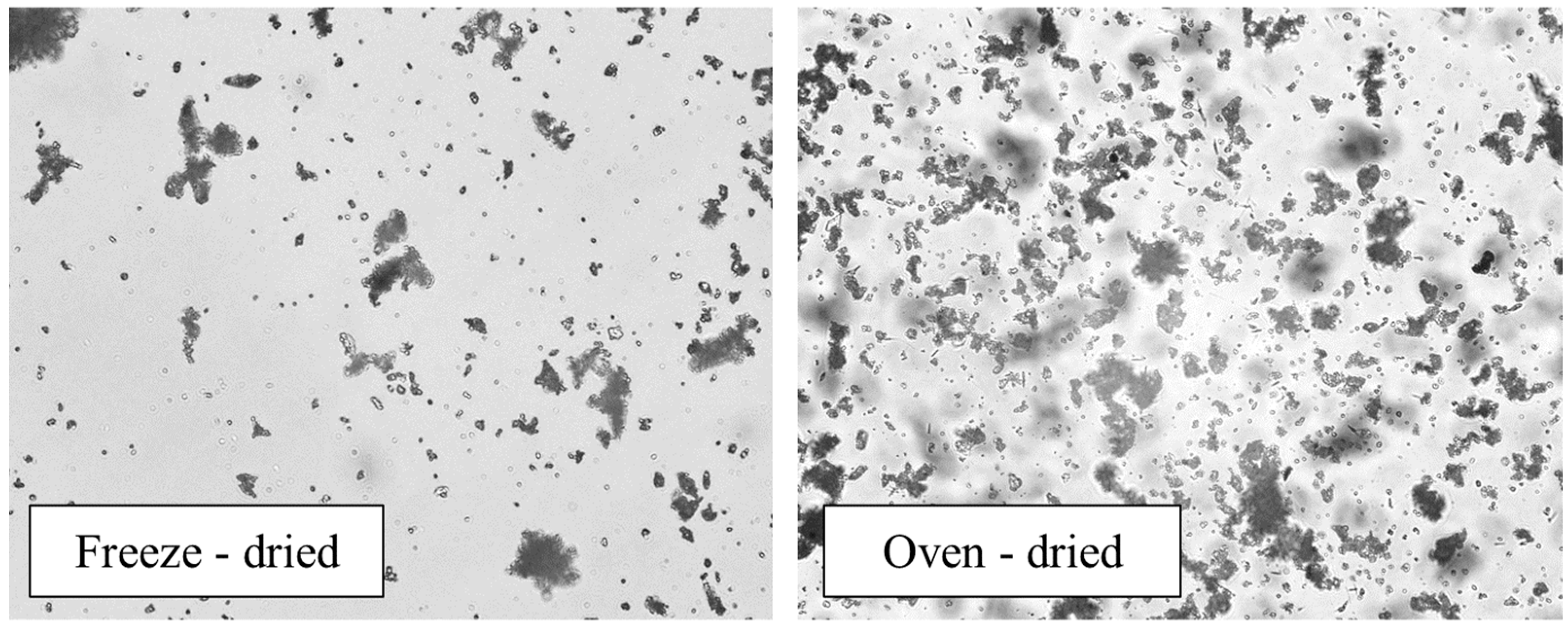 Materials 16 05062 g002 Materials 16 05062 g002