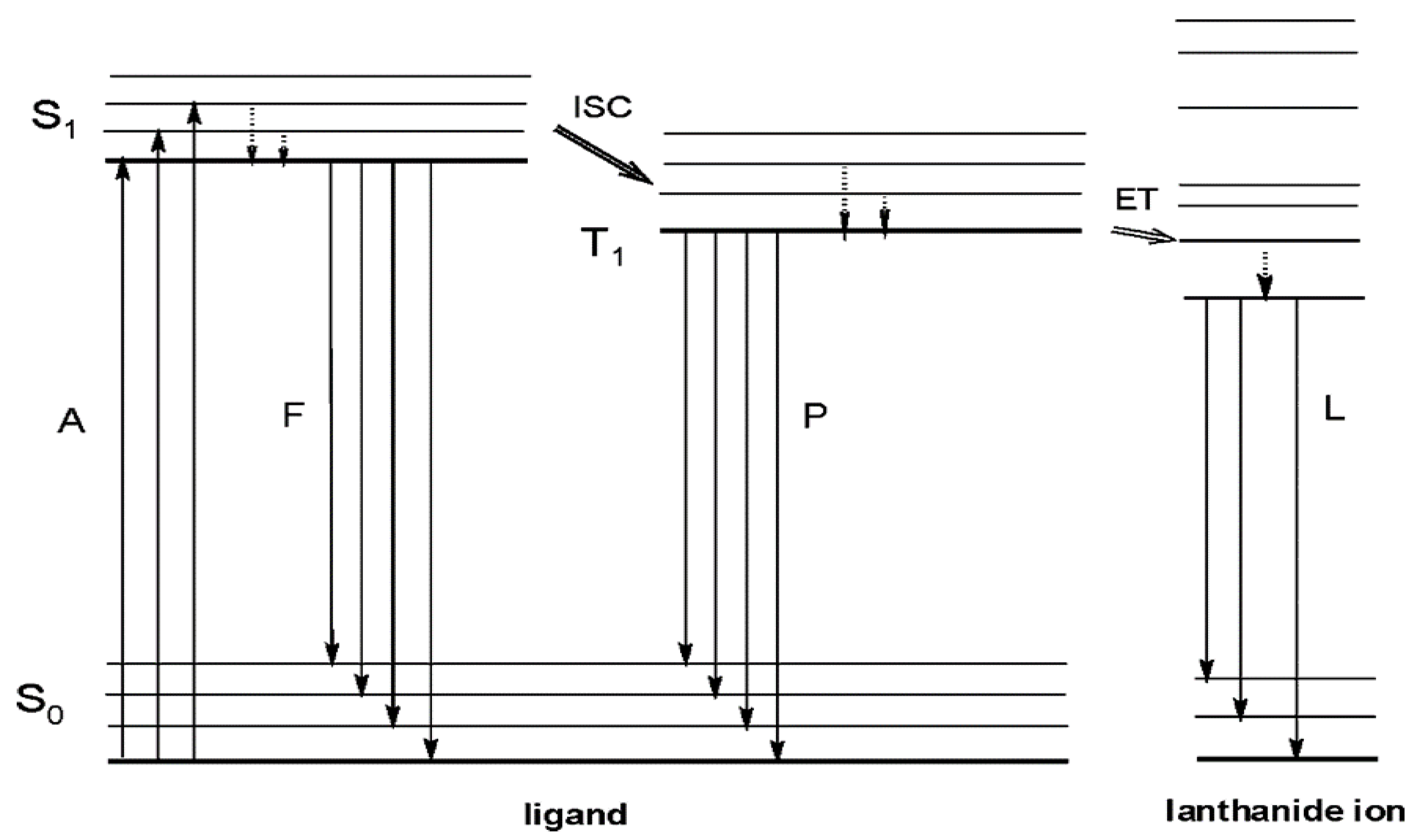 Materials 16 05068 g001 Materials 16 05068 g001