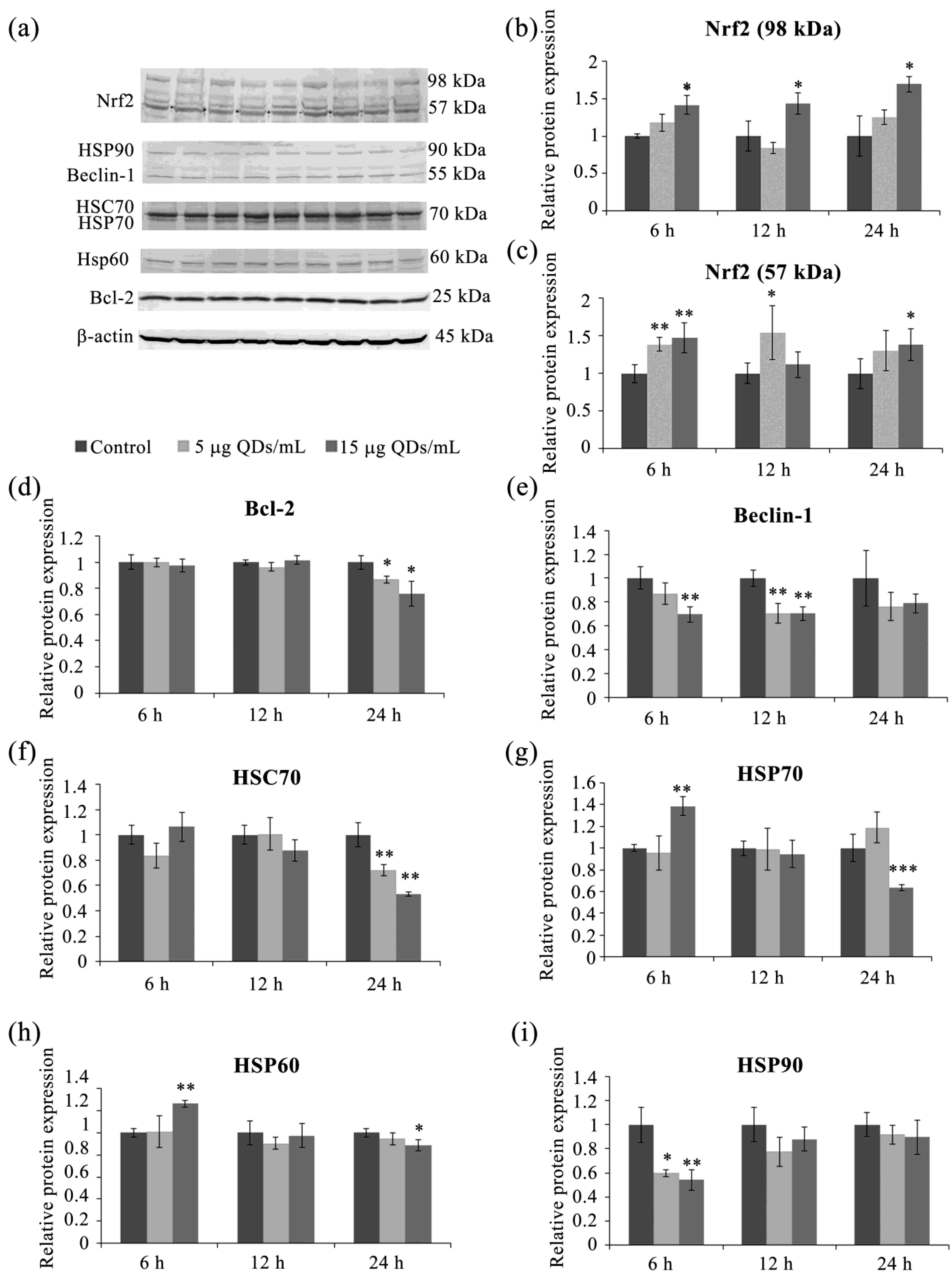 Materials 16 05083 g006