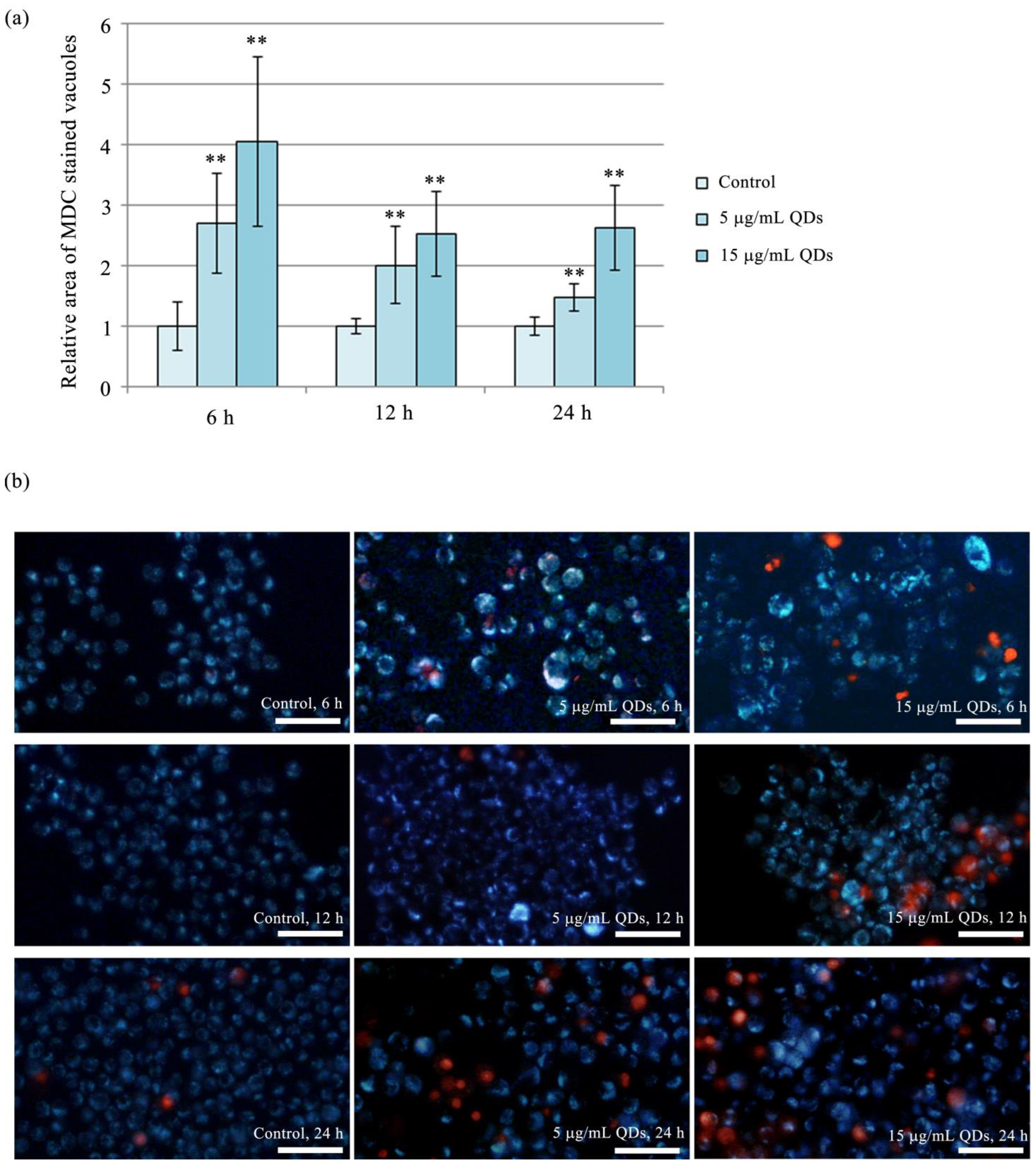 Materials 16 05083 g007