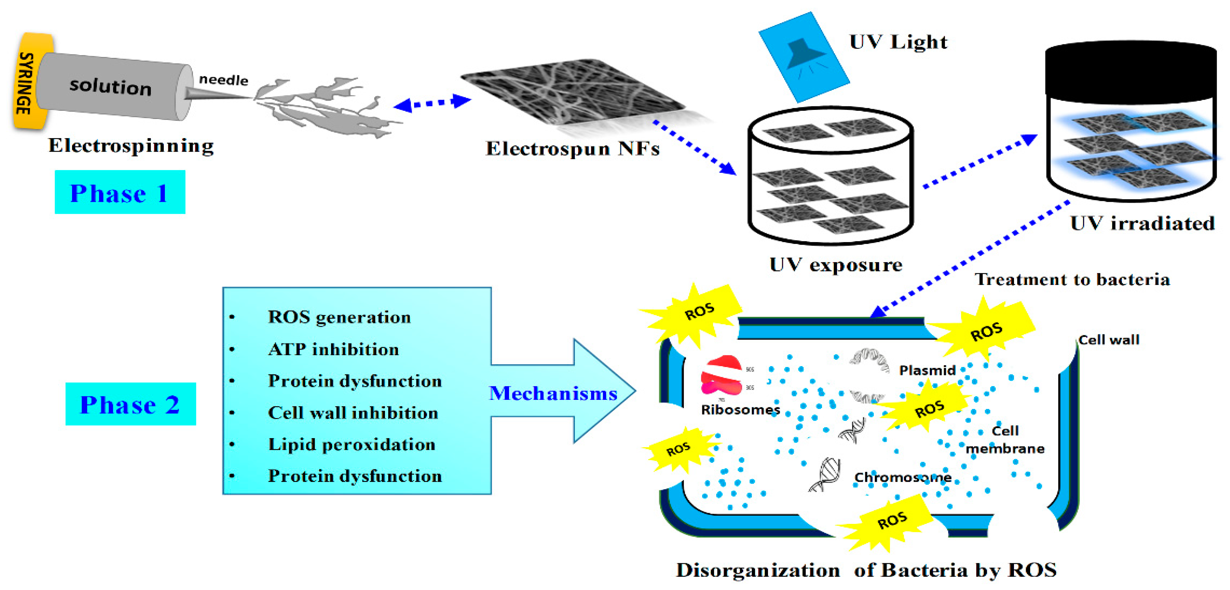 Materials 16 05148 g012