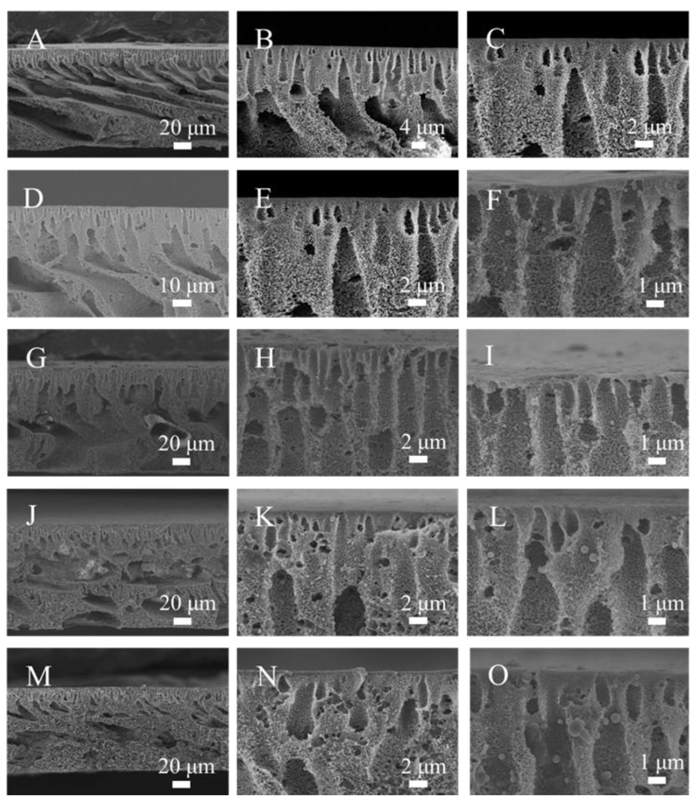 Materials 16 05149 g003