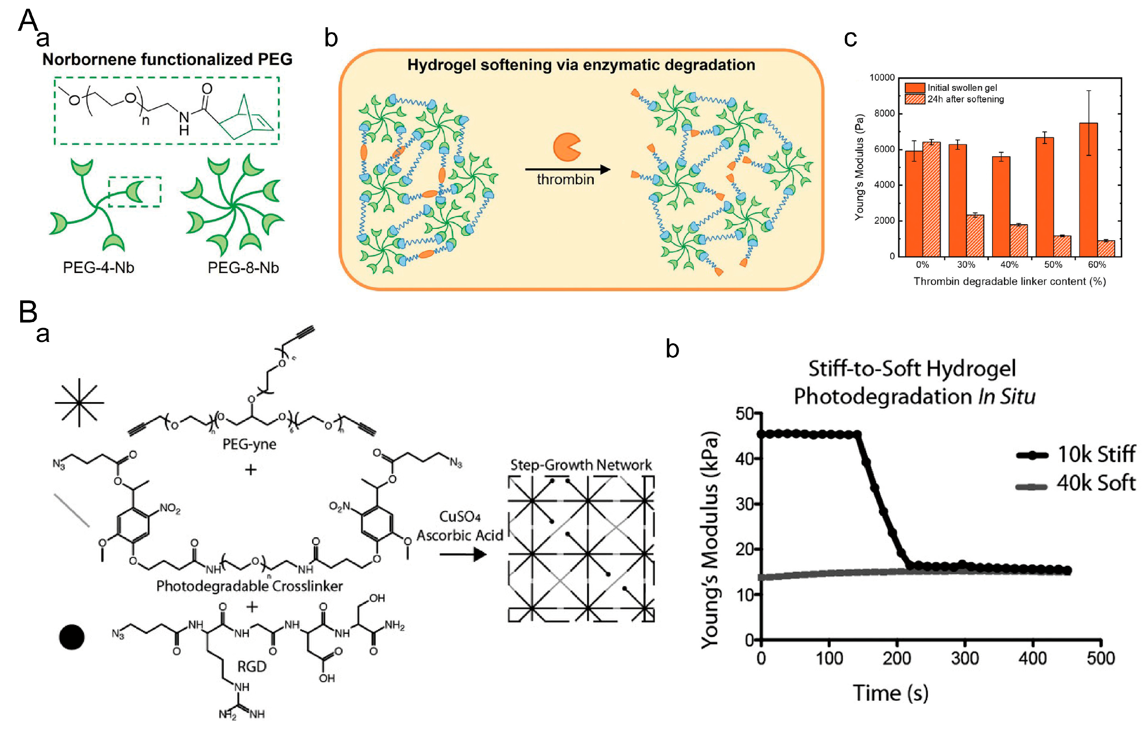 Materials 16 05161 g009 Materials 16 05161 g009
